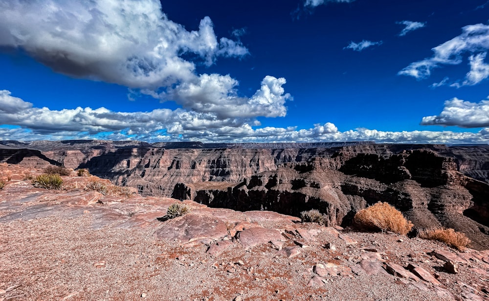 a scenic view of the grand canyon of the grand canyon