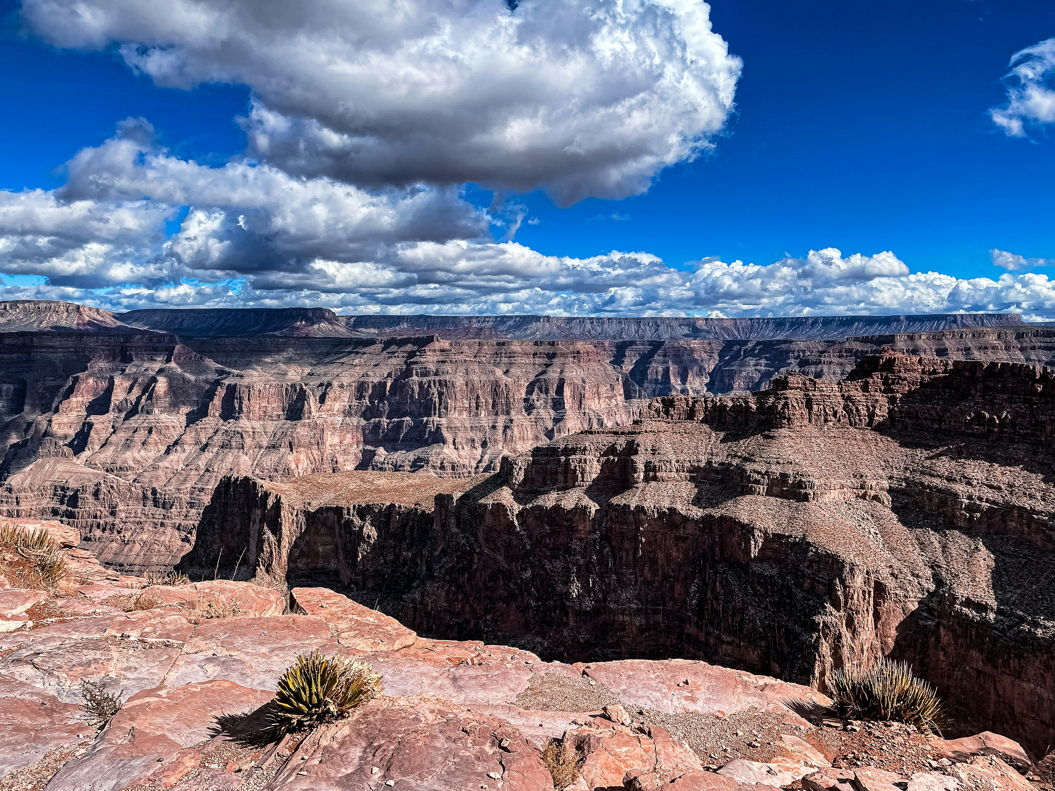 a scenic view of the grand canyon of the grand canyon