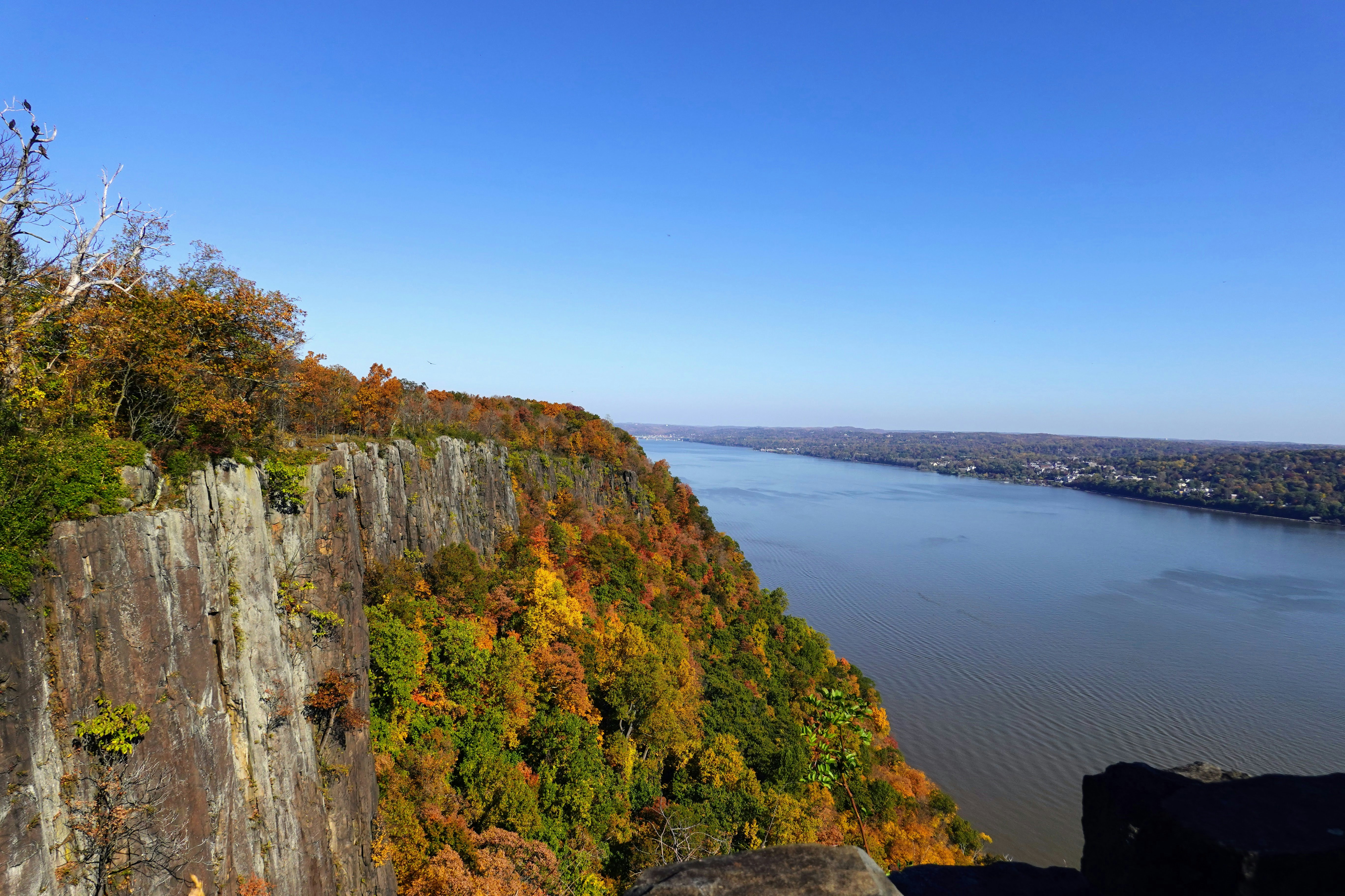 a large body of water surrounded by trees