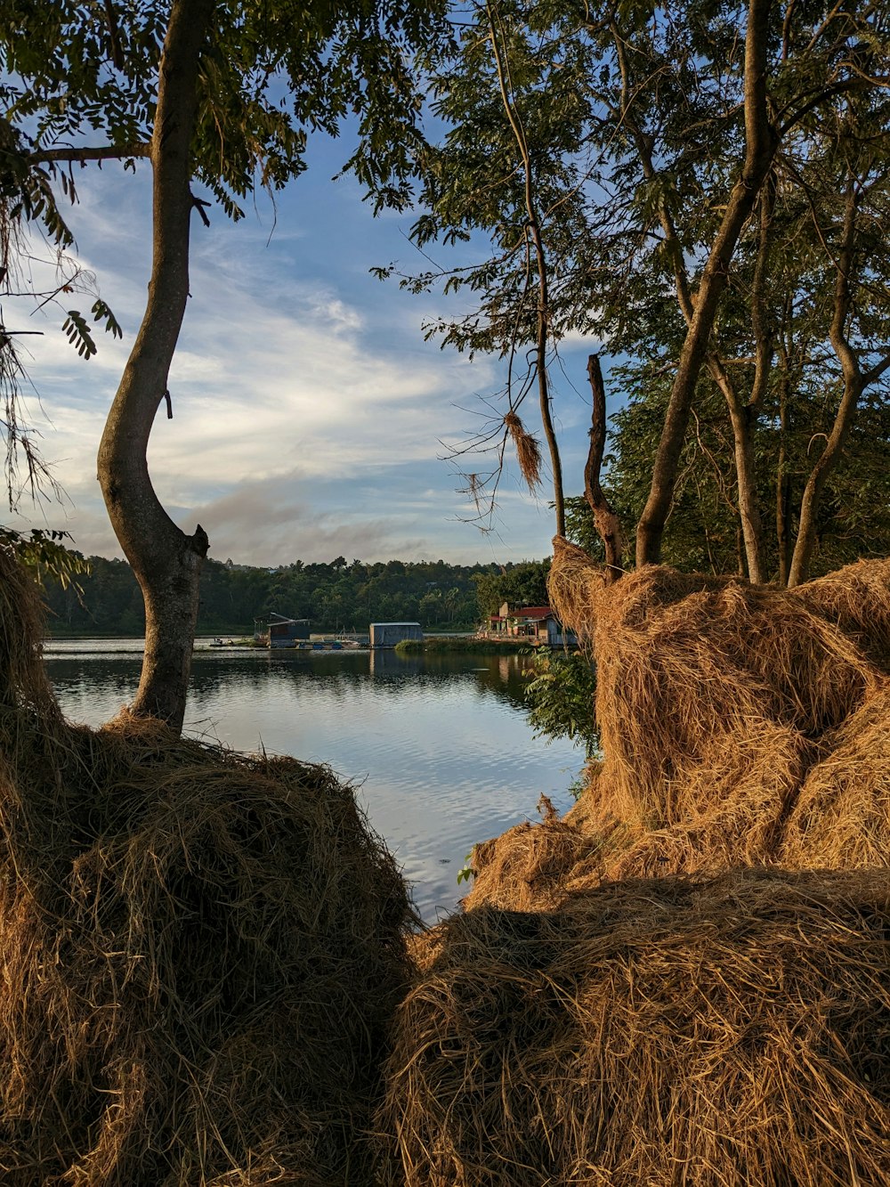 a large pile of hay sitting next to a lake