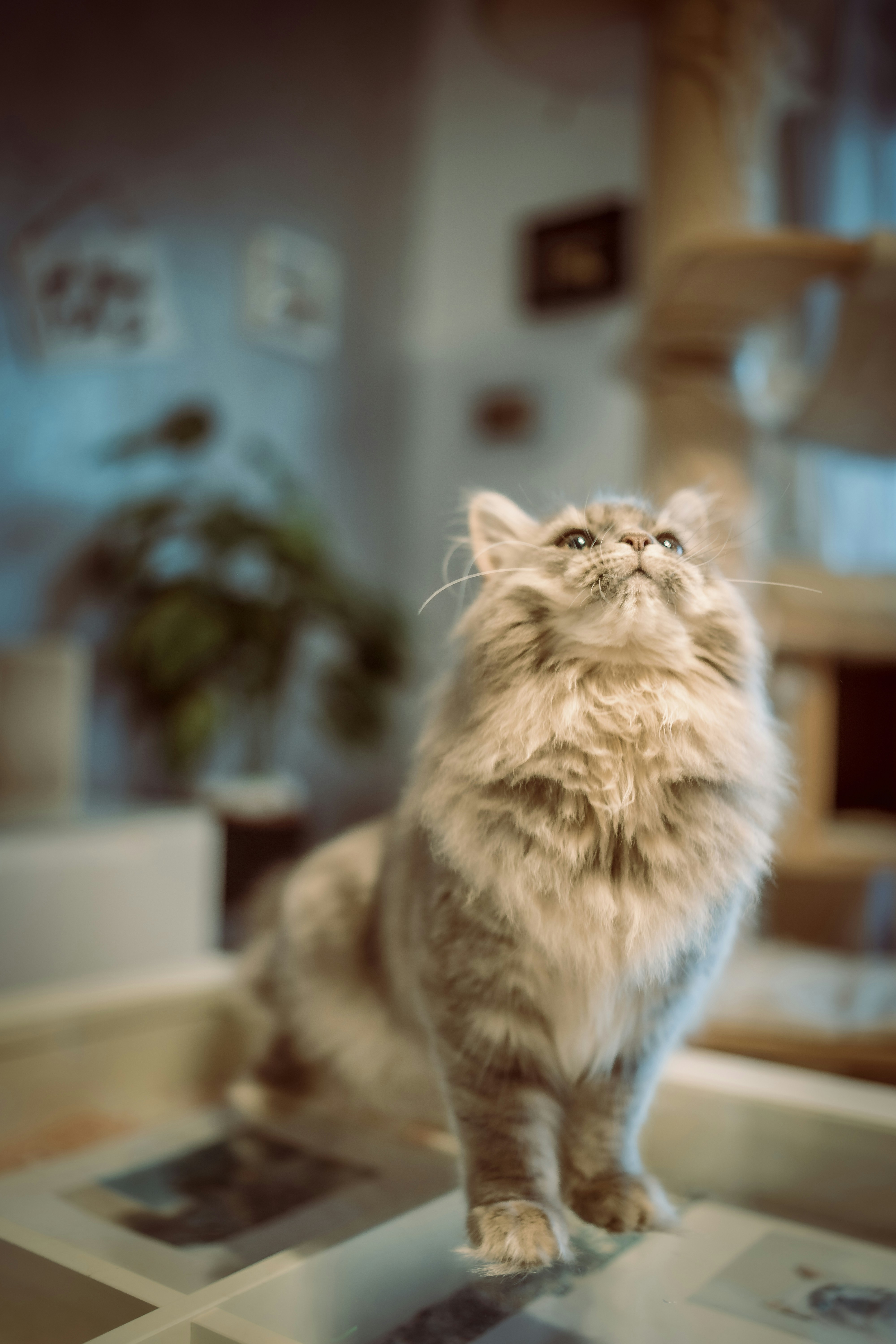 Photo by omarvellous14