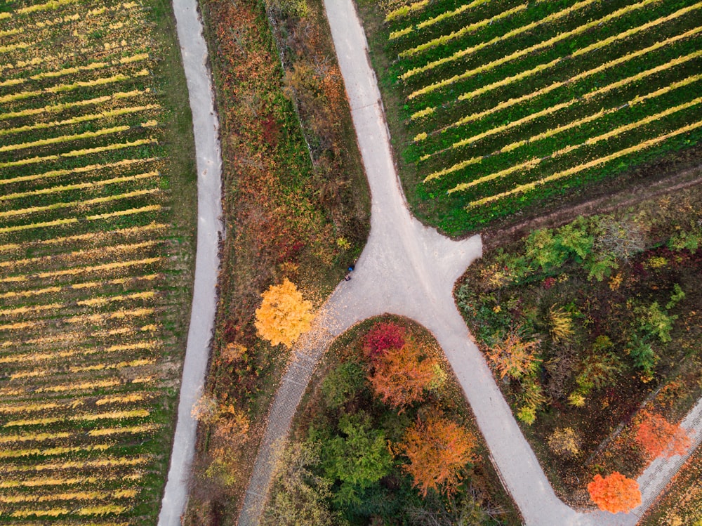 an aerial view of a road surrounded by trees