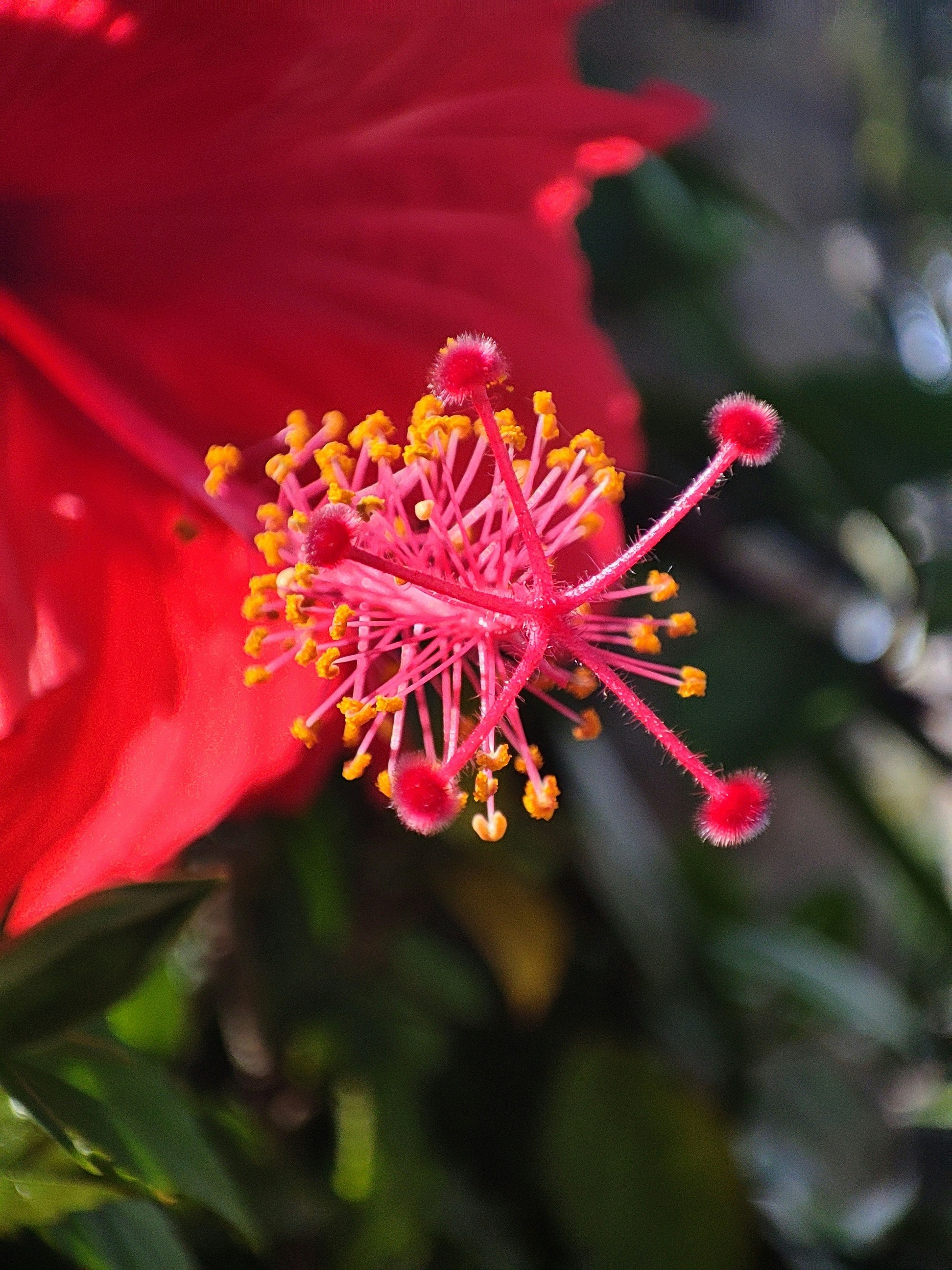 Photo by ben_stephen