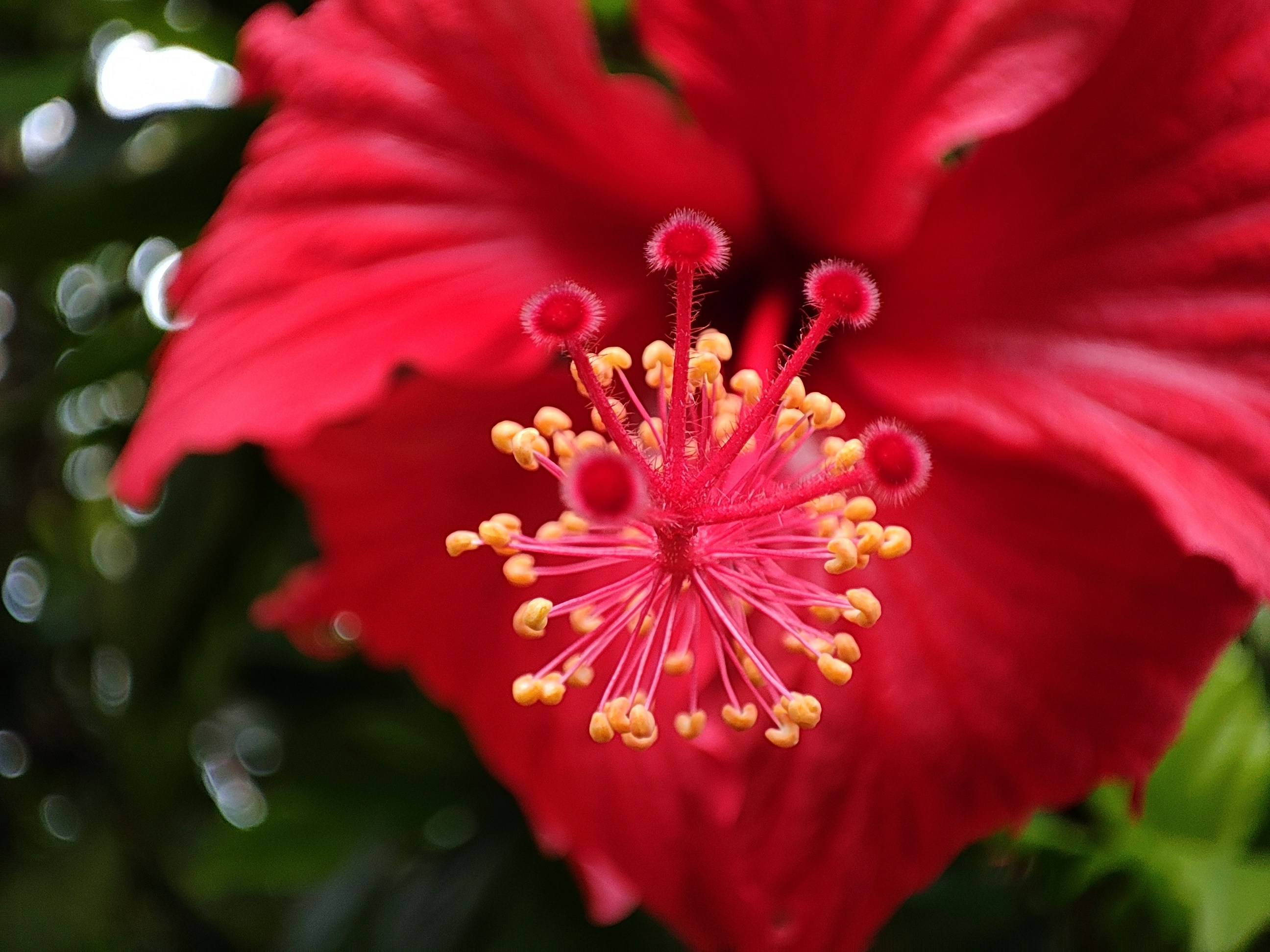 Photo by ben_stephen