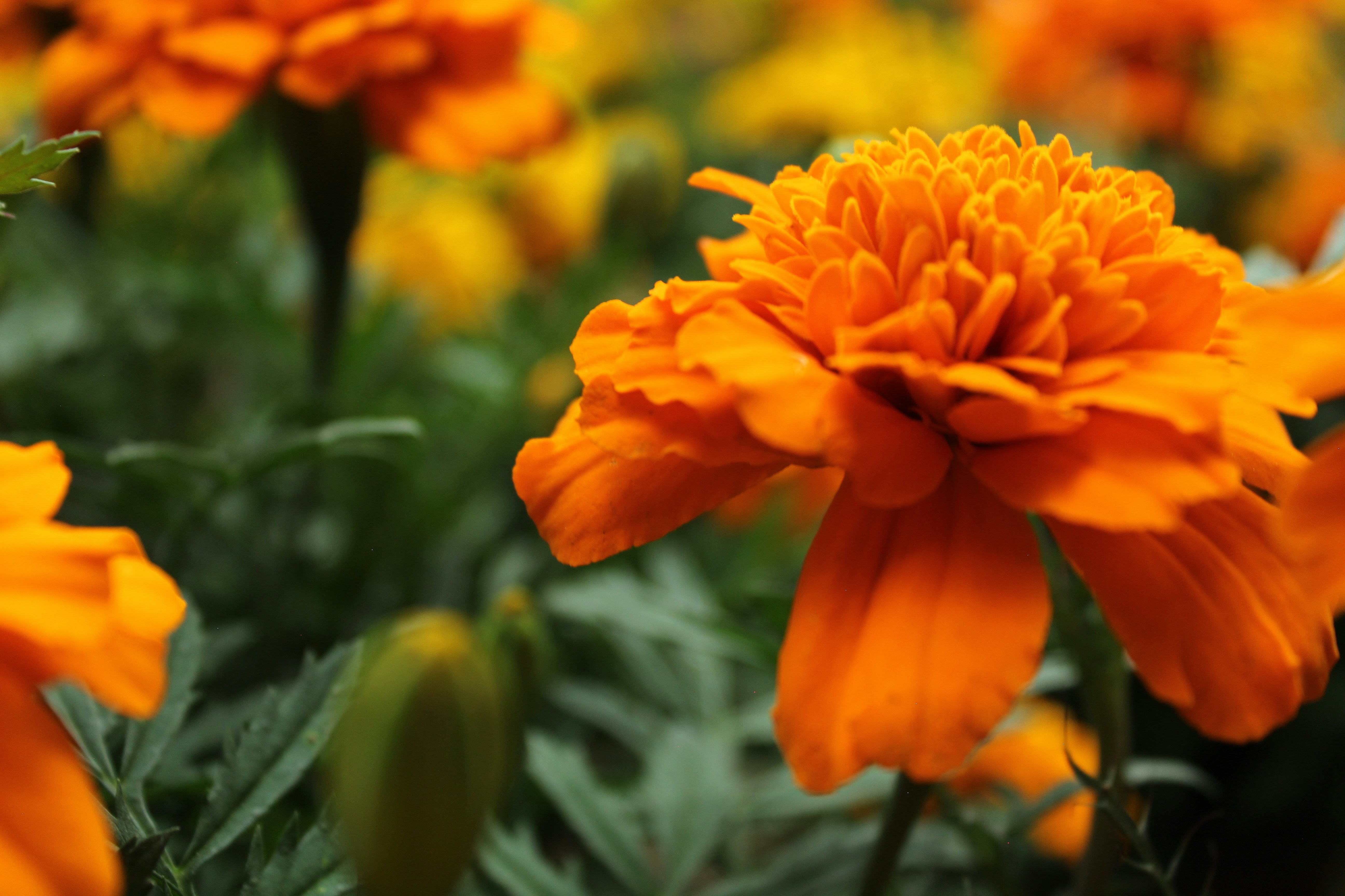 Photo by mxrning_stxr