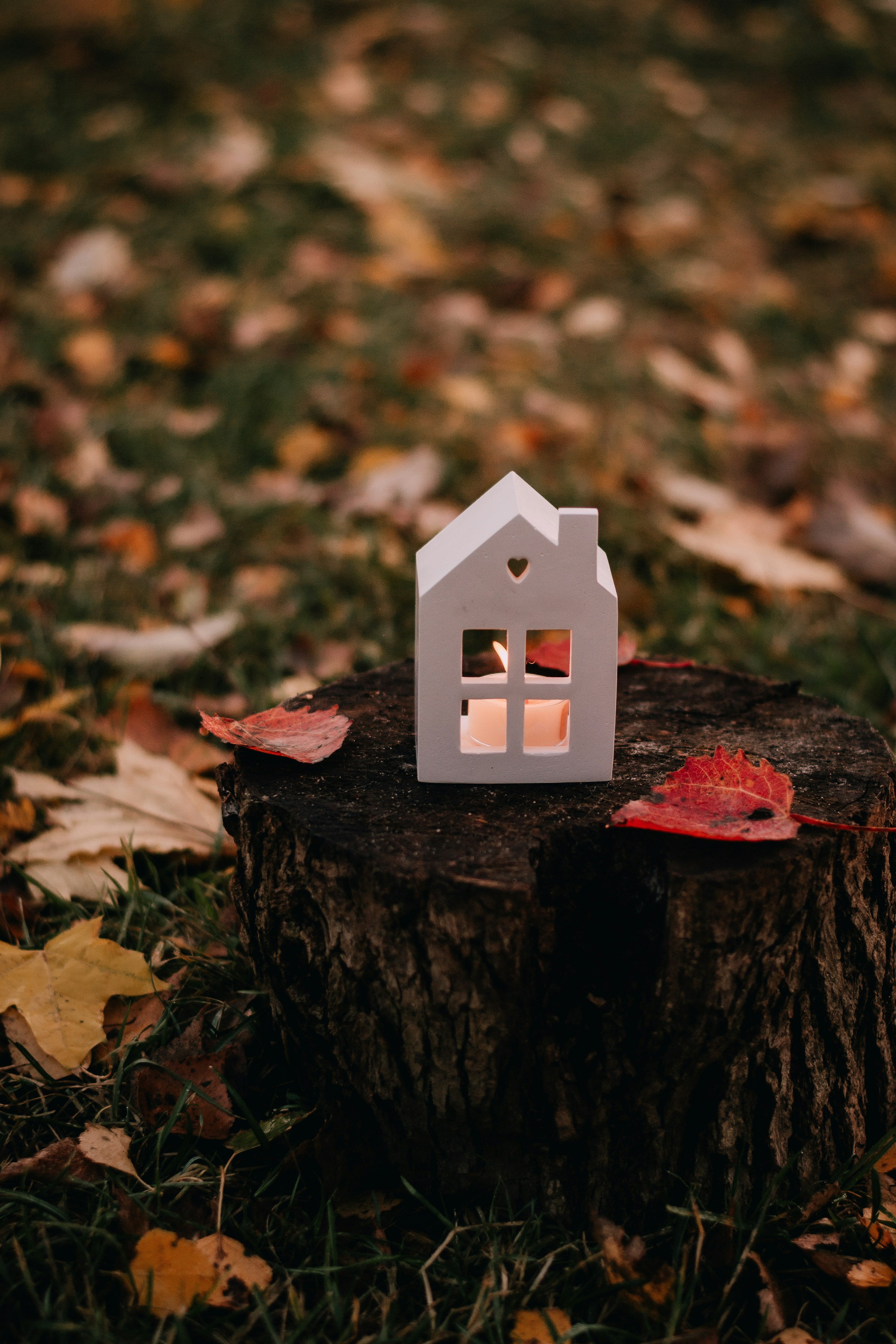 a small white house sitting on top of a tree stump