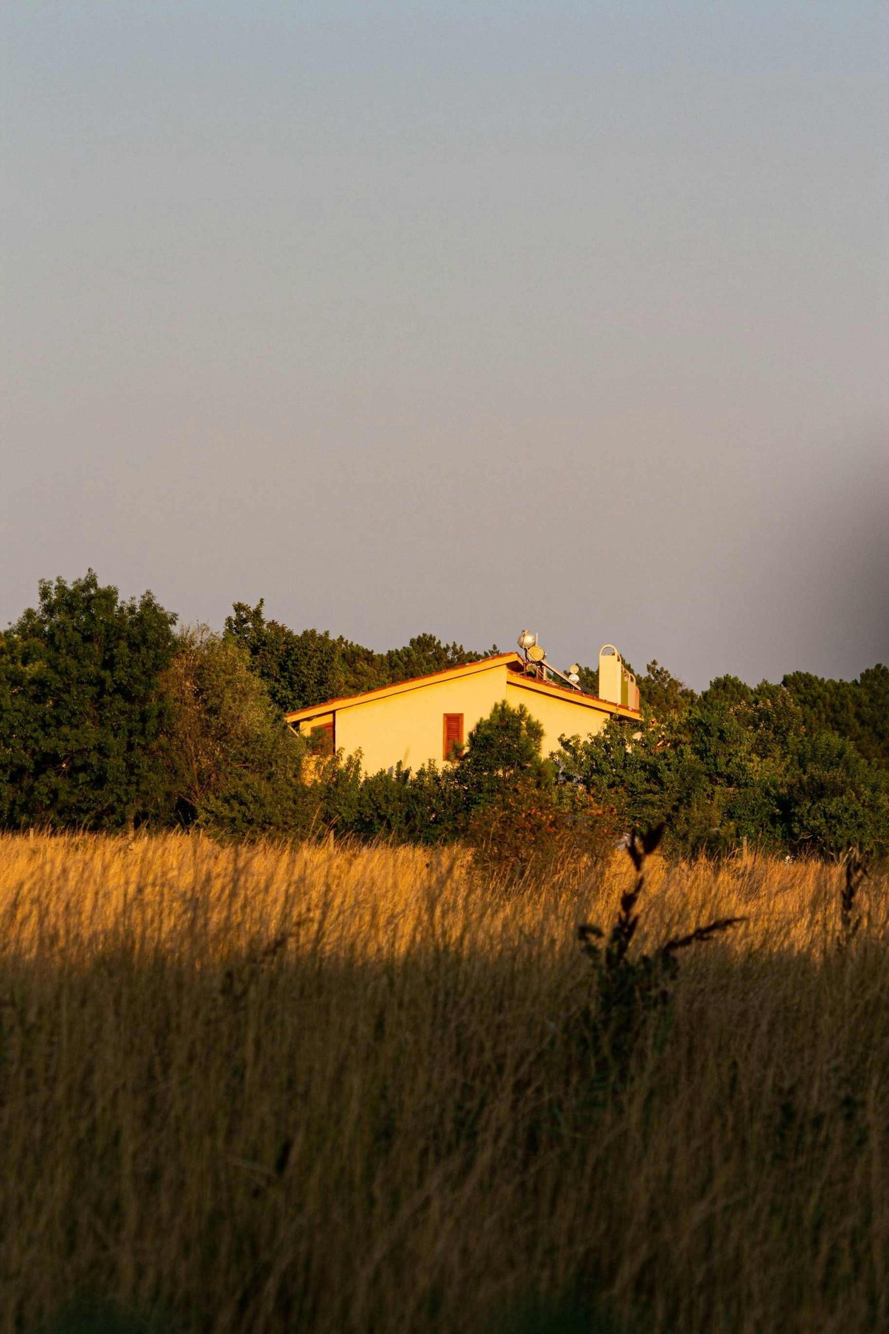 Photo by furkanunsalan