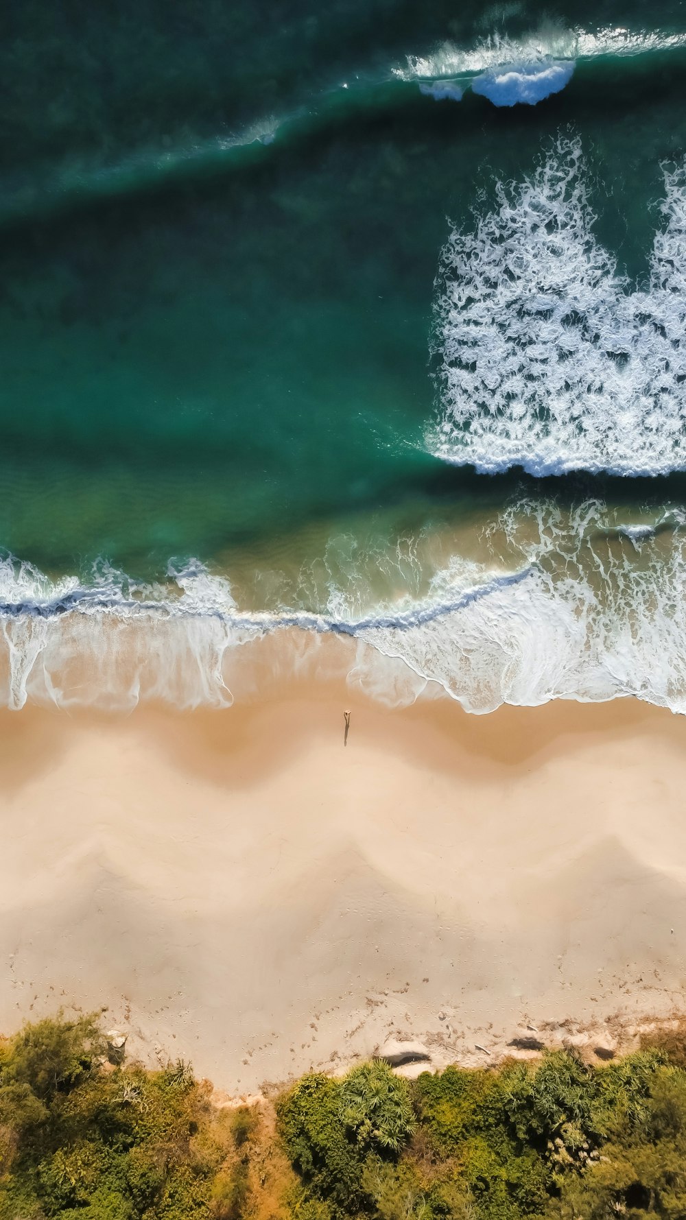 an aerial view of a beach and ocean