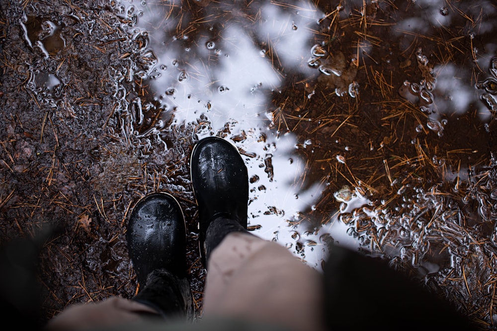 a pair of black shoes standing in a puddle of water