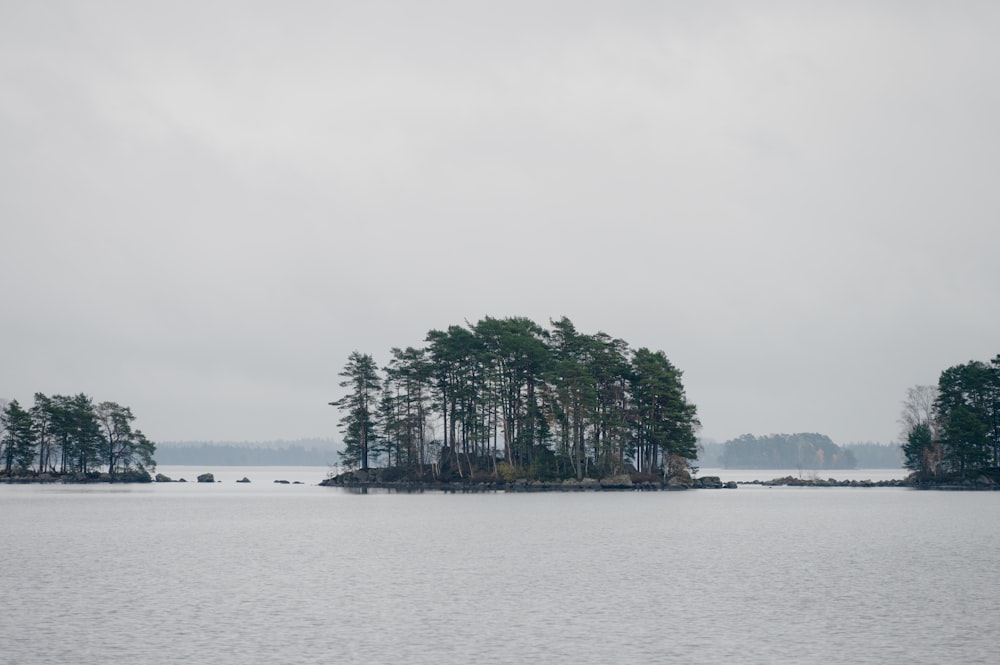 a body of water surrounded by trees on a cloudy day