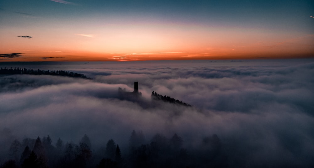 a tower in the middle of a foggy forest