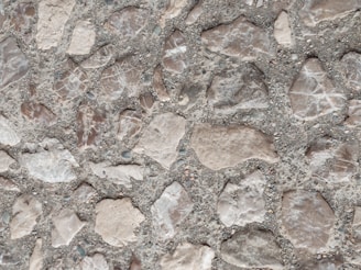 A close-up view of a textured surface consisting of irregularly shaped stones embedded in concrete. The stones vary in shades of light brown and are set against a grayish backdrop, creating a rugged and organic pattern.