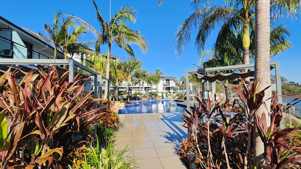 a large swimming pool surrounded by palm trees