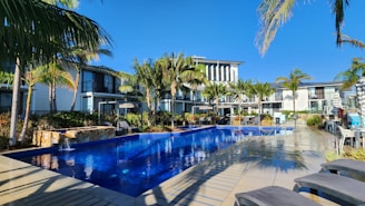 a large swimming pool surrounded by palm trees