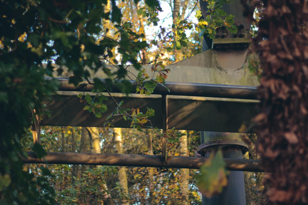 a bird is perched on top of a wooden structure