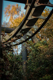 A winding pumptrack surrounded by autumn-colored trees