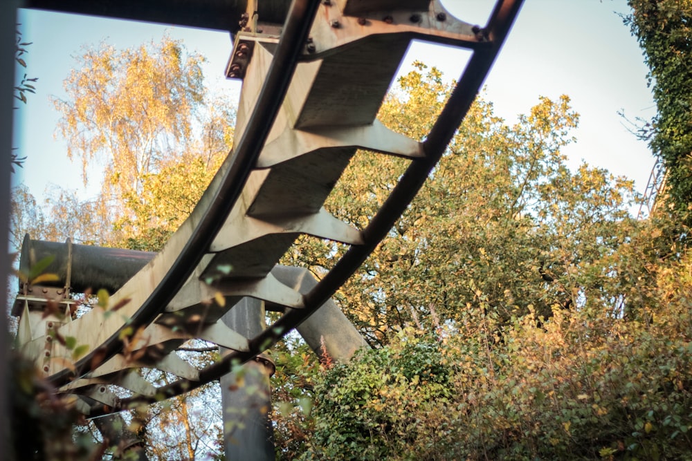 a large metal object in the middle of a forest