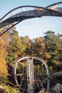 Thrilling roller coaster twisting through a lush green park under a bright blue sky.