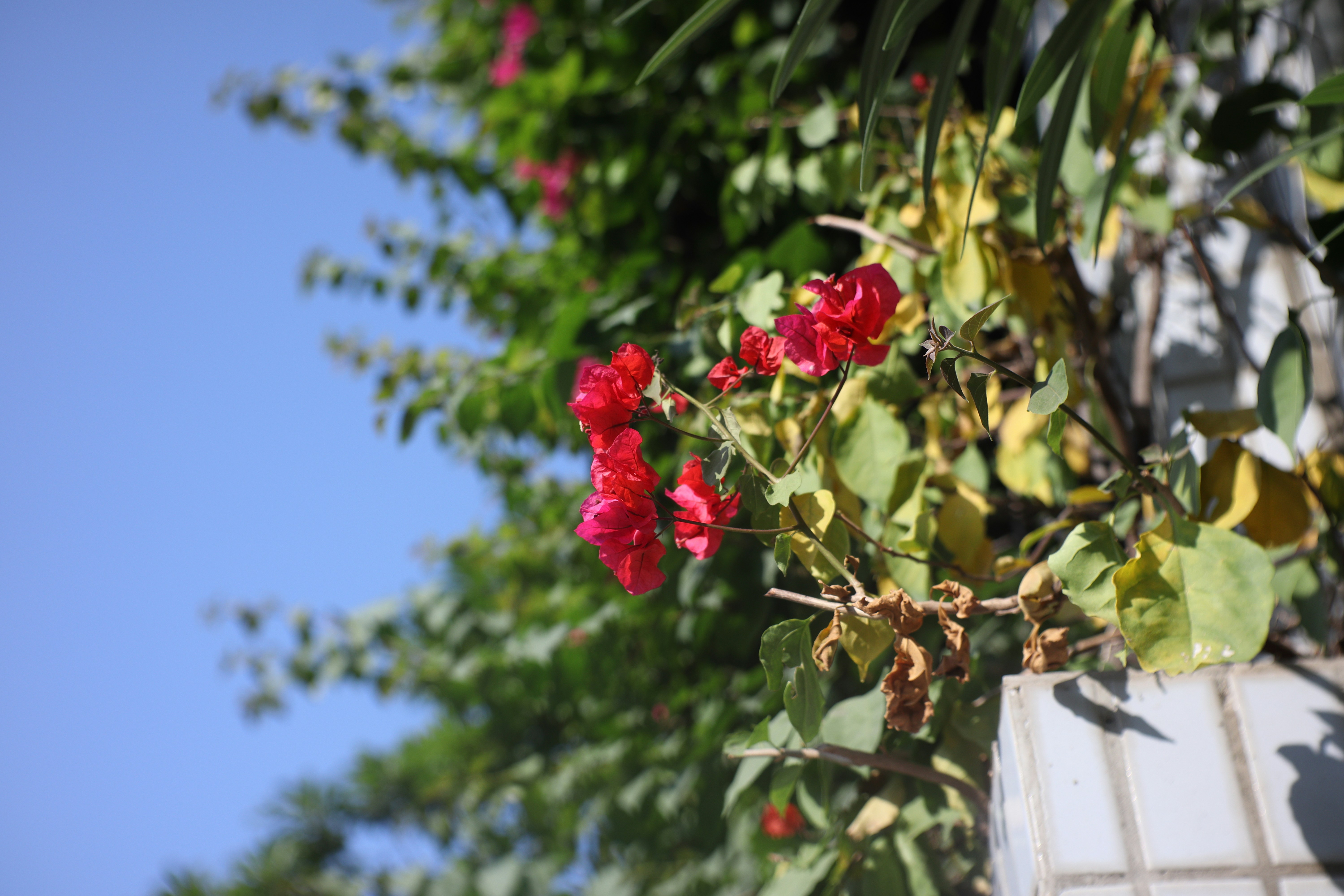 2024 ジュビロ ユニフォーム