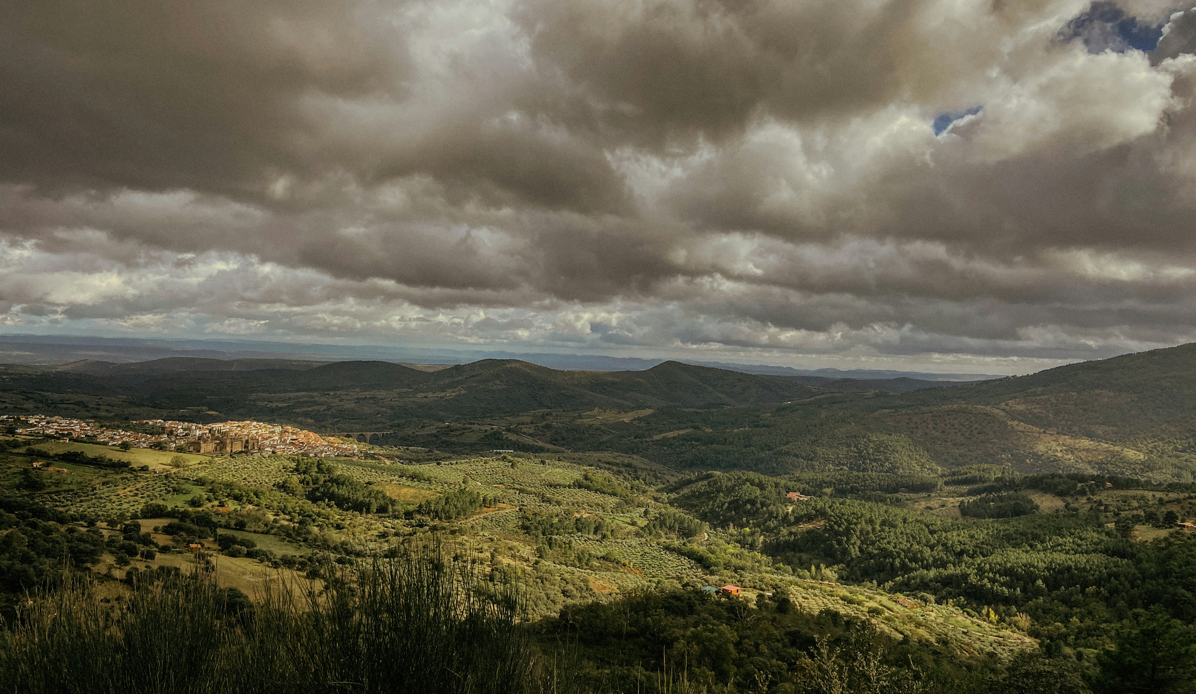 Photo by javiersilva18