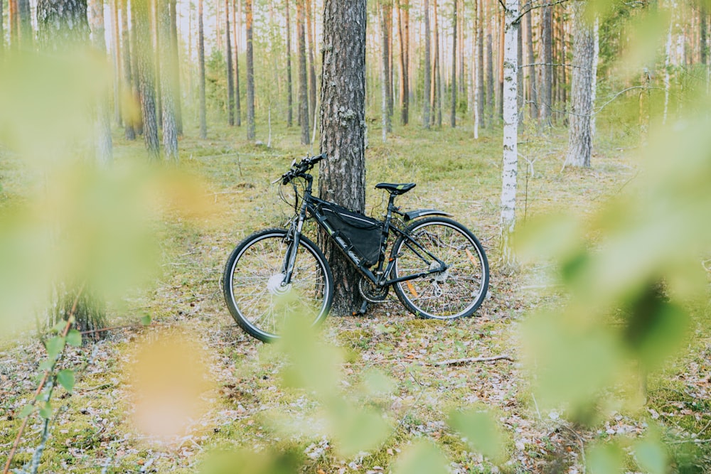 a bicycle parked next to a tree in a forest
