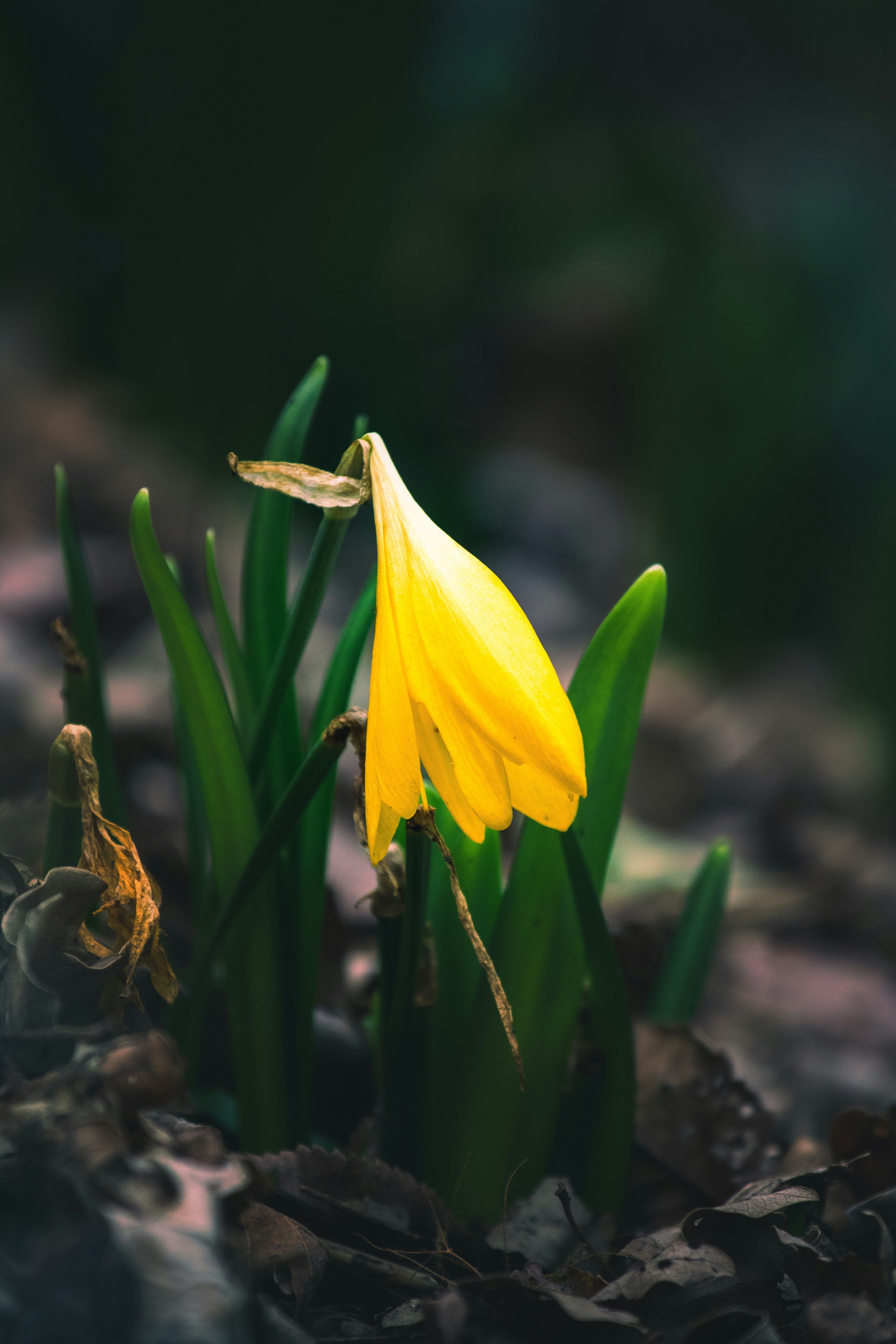 Photo by mattia_poli_04