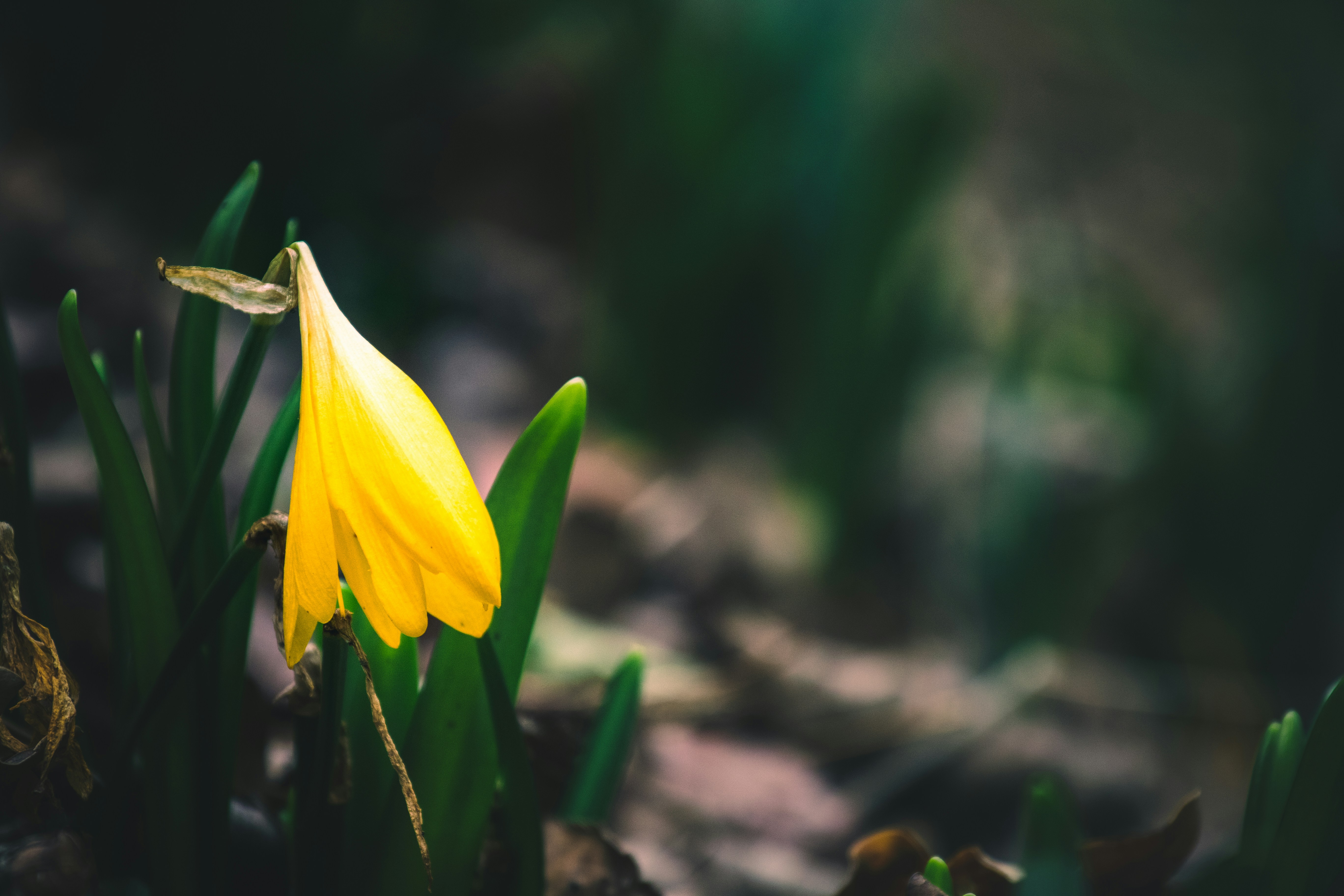 Photo by mattia_poli_04