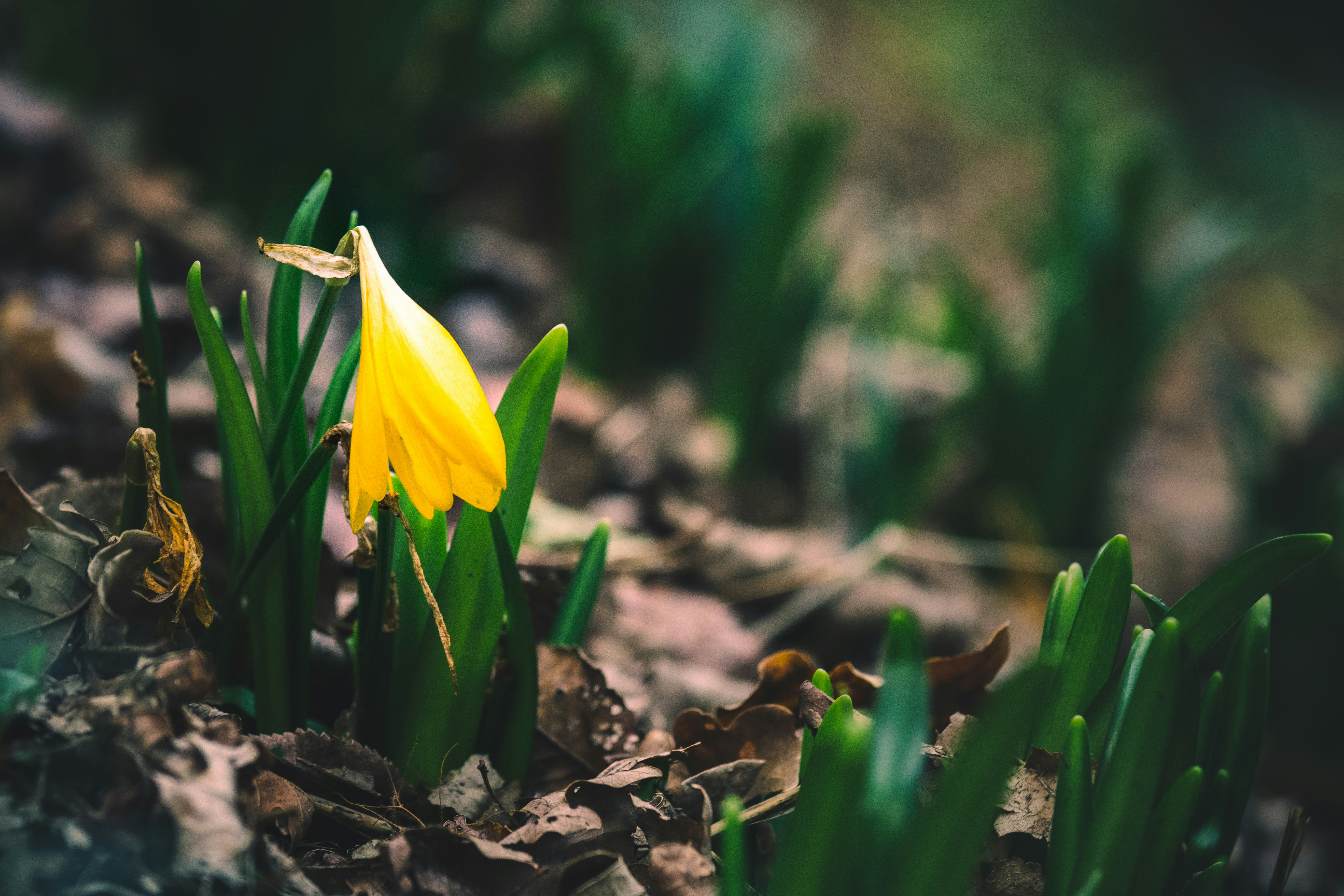 Photo by mattia_poli_04