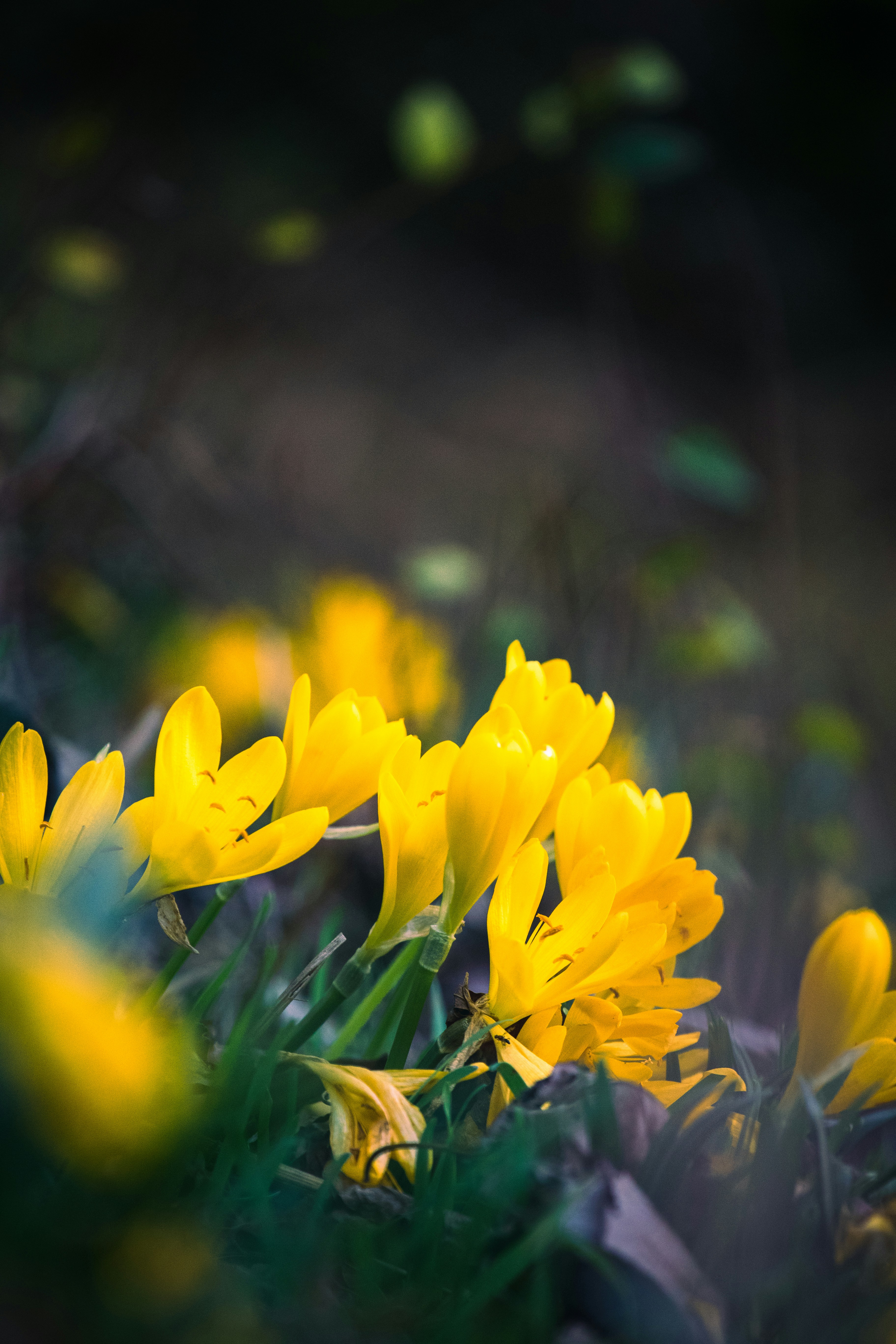 Photo by mattia_poli_04