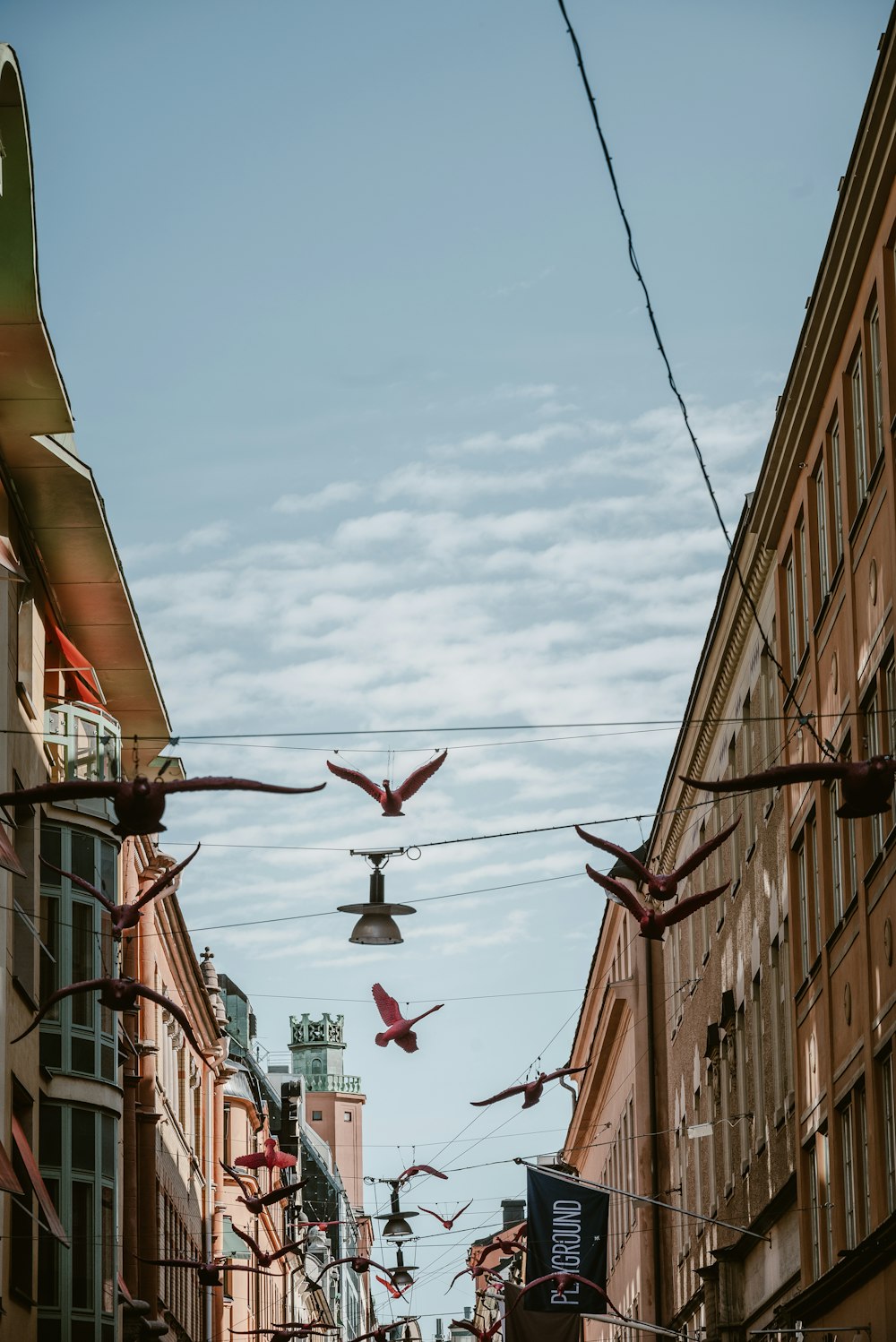 a group of birds that are flying in the air