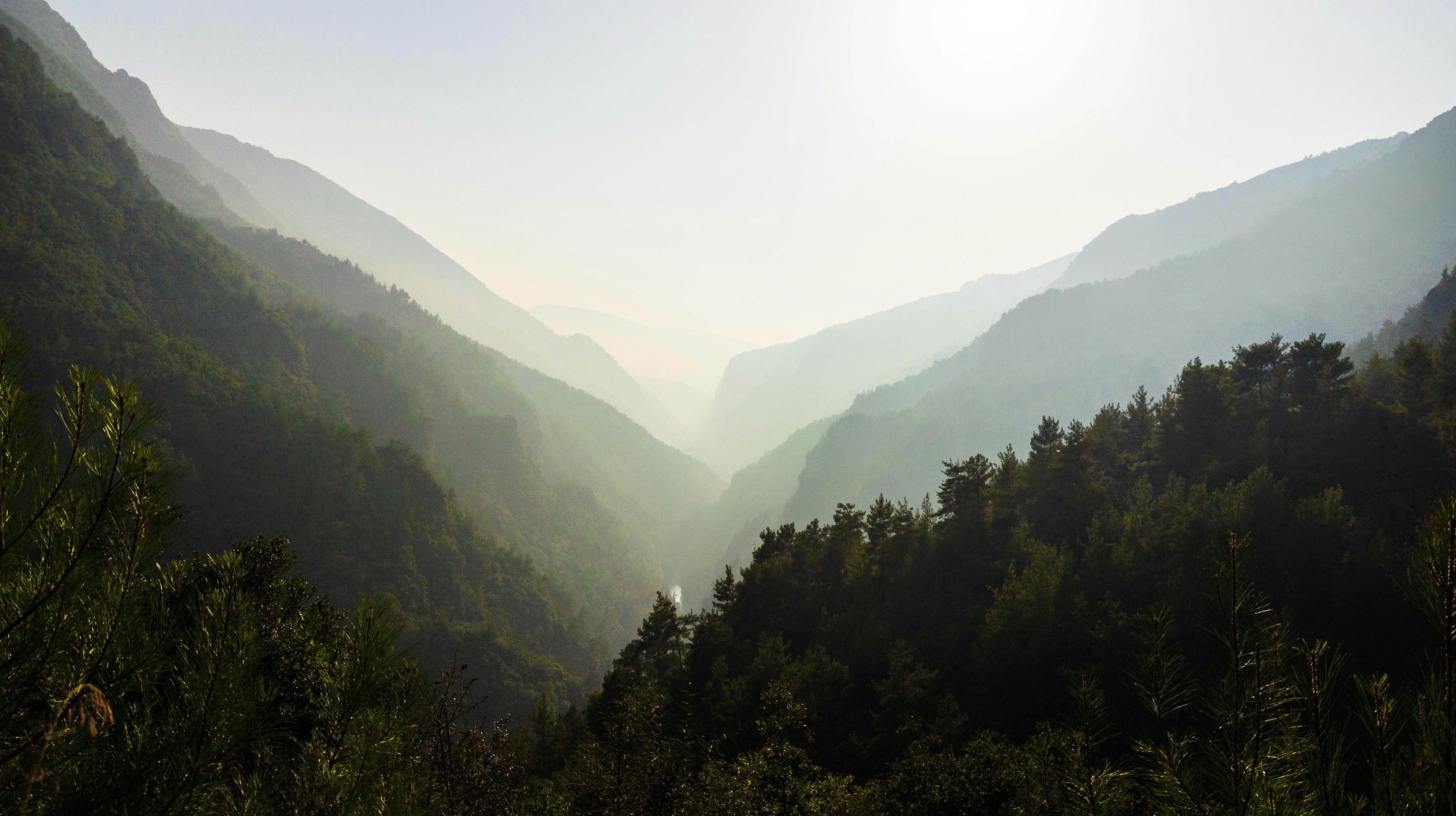 Photo by hassanalamine_