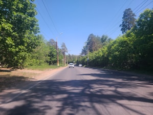 A freshly paved road lined with trees under a clear blue sky.