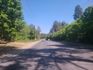 Wide paved internal road lined with green trees under a clear blue sky.