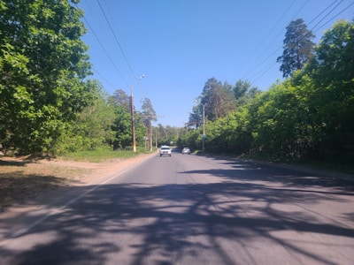 A freshly paved road lined with trees under a clear blue sky.
