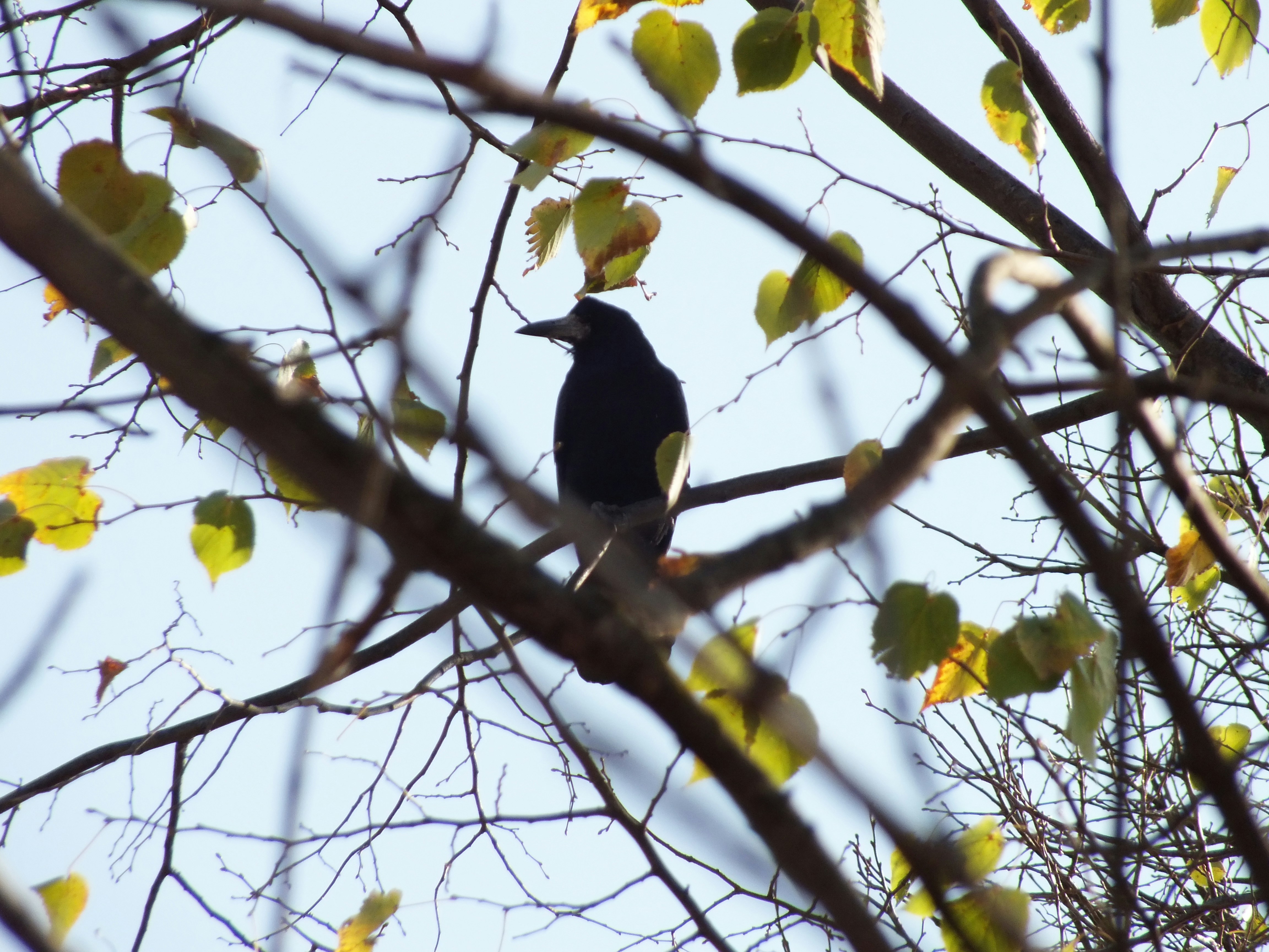 Photo by ikakosickij