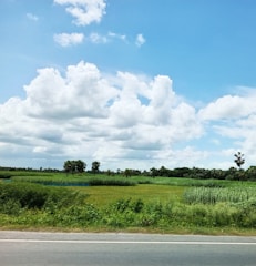 A scenic view of a lush green plot of land bordered by a quiet country road under a clear blue sky.