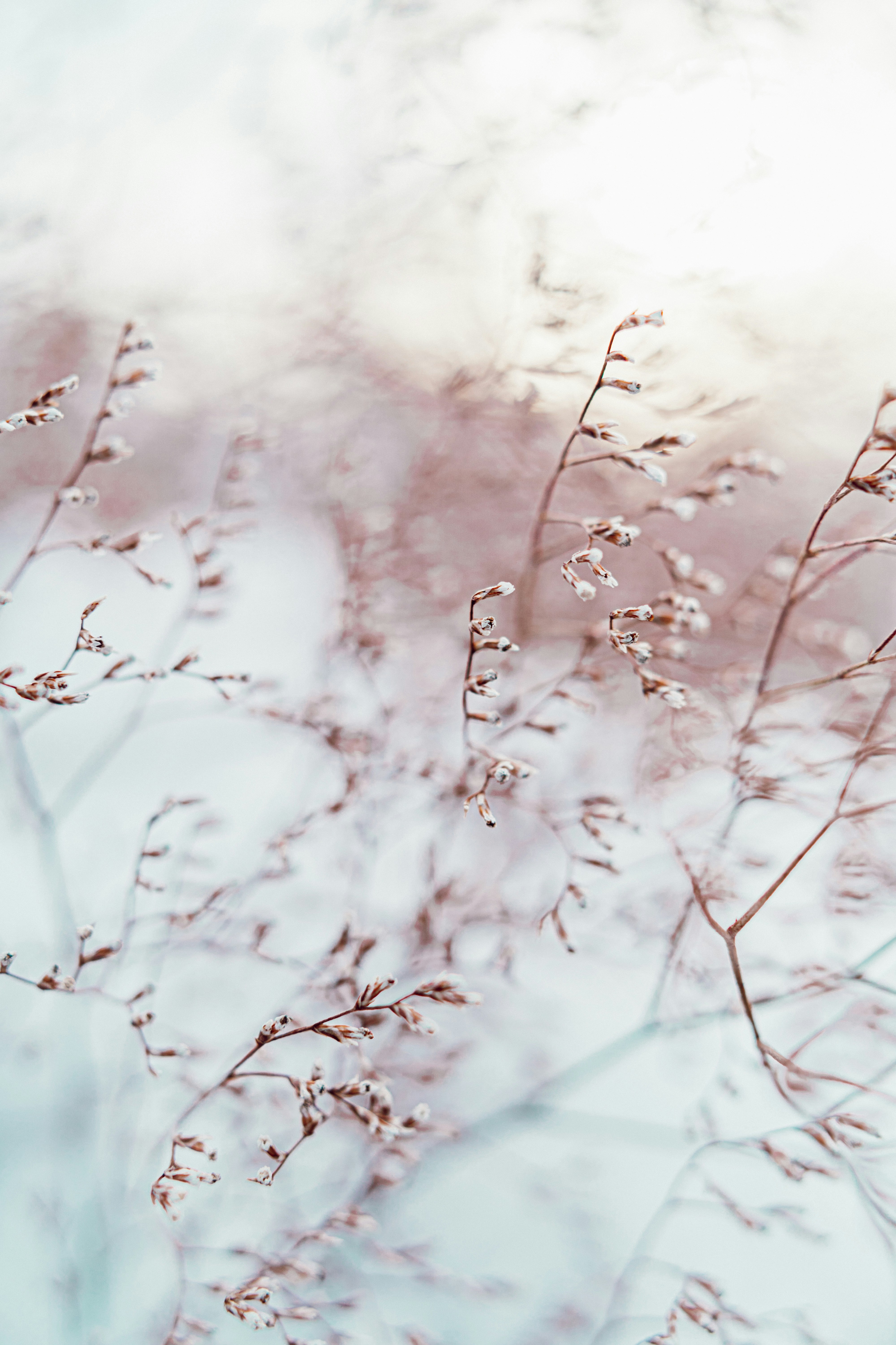 Photo by anamnesis33