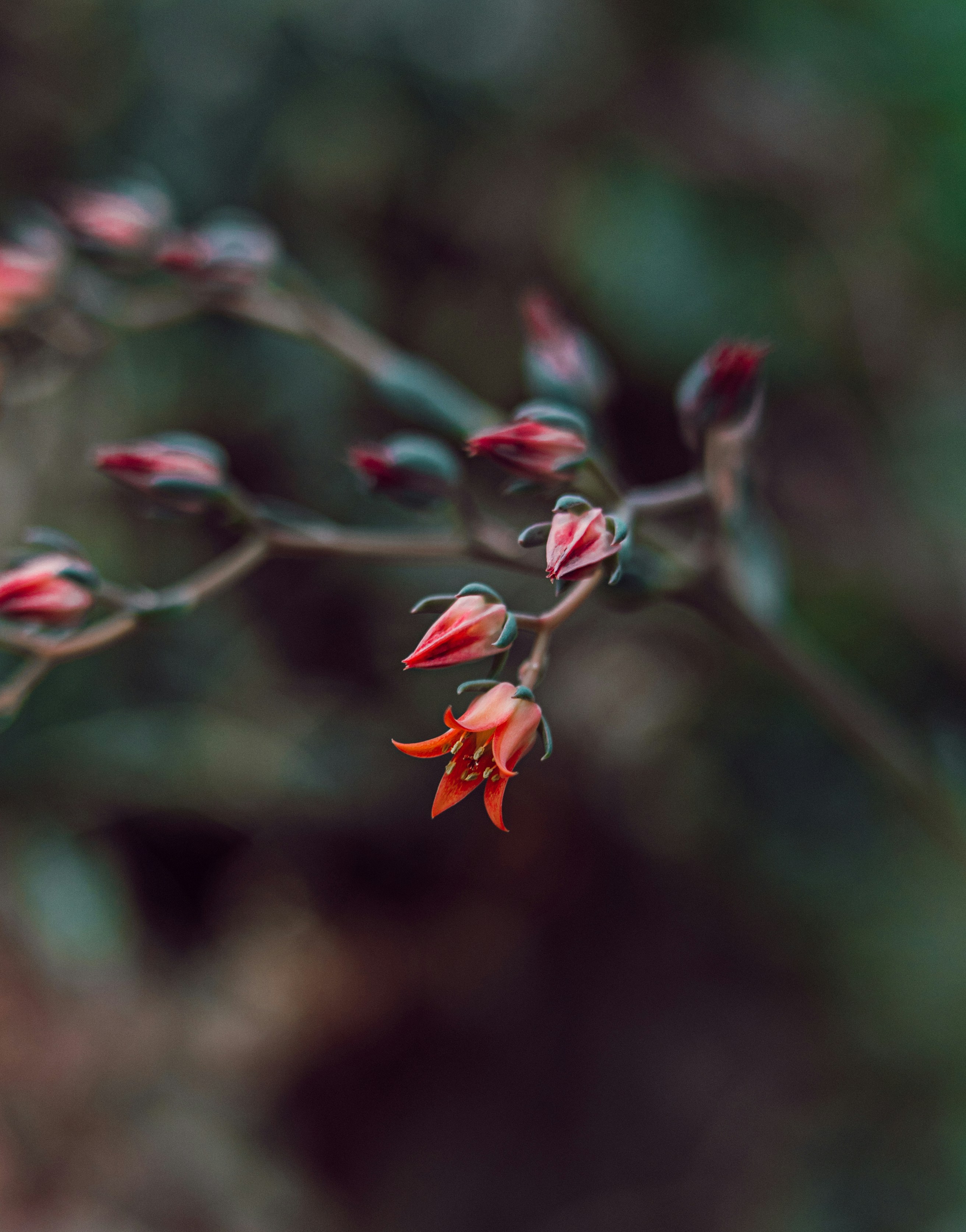 Photo by anamnesis33