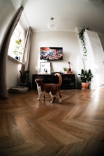 A property manager discussing maintenance plans with a tenant inside a cozy living room.