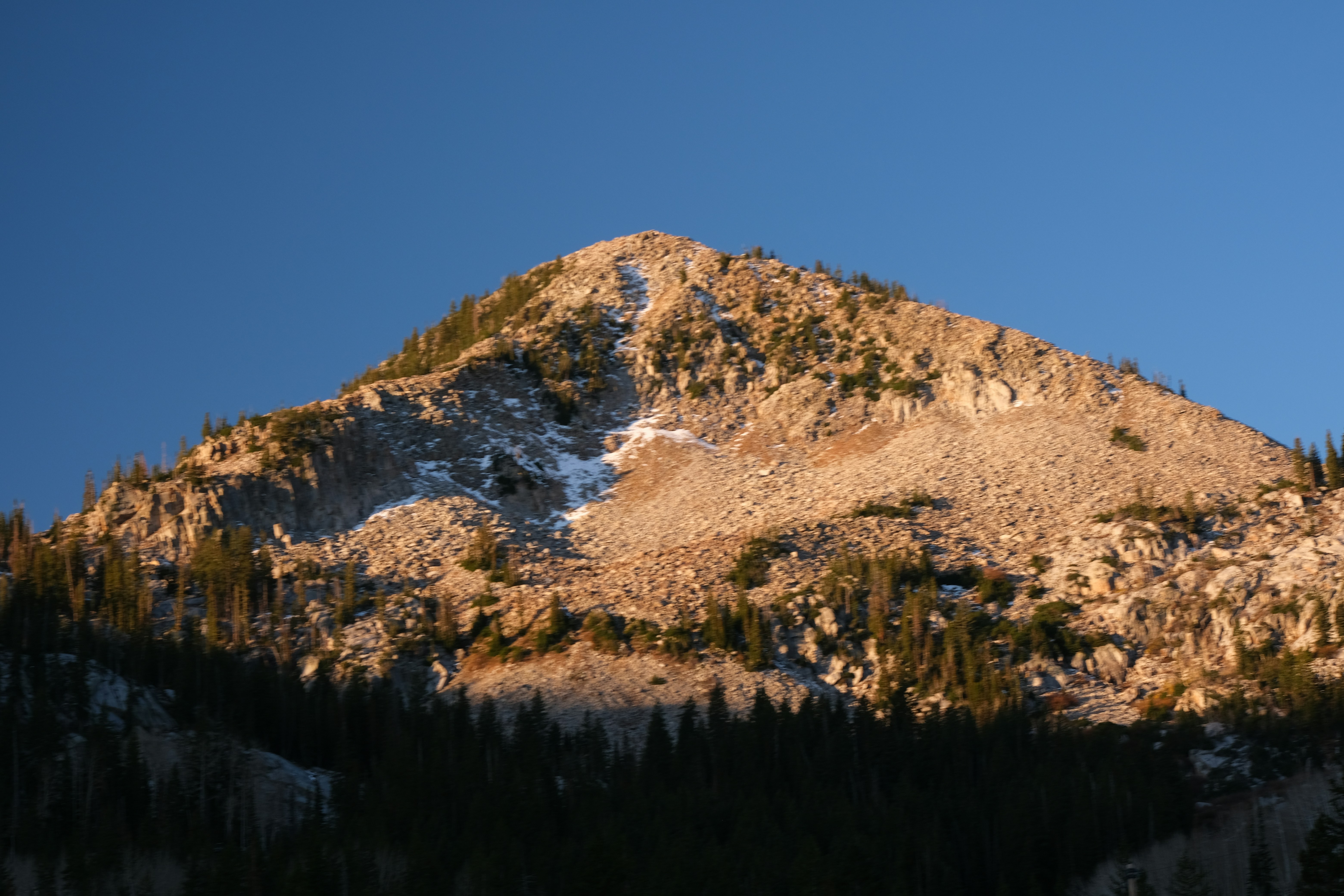 Photo by cestmoisheedy