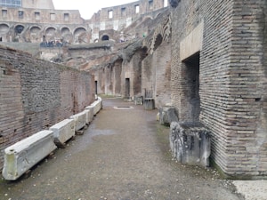 Colosseum Guided Tour