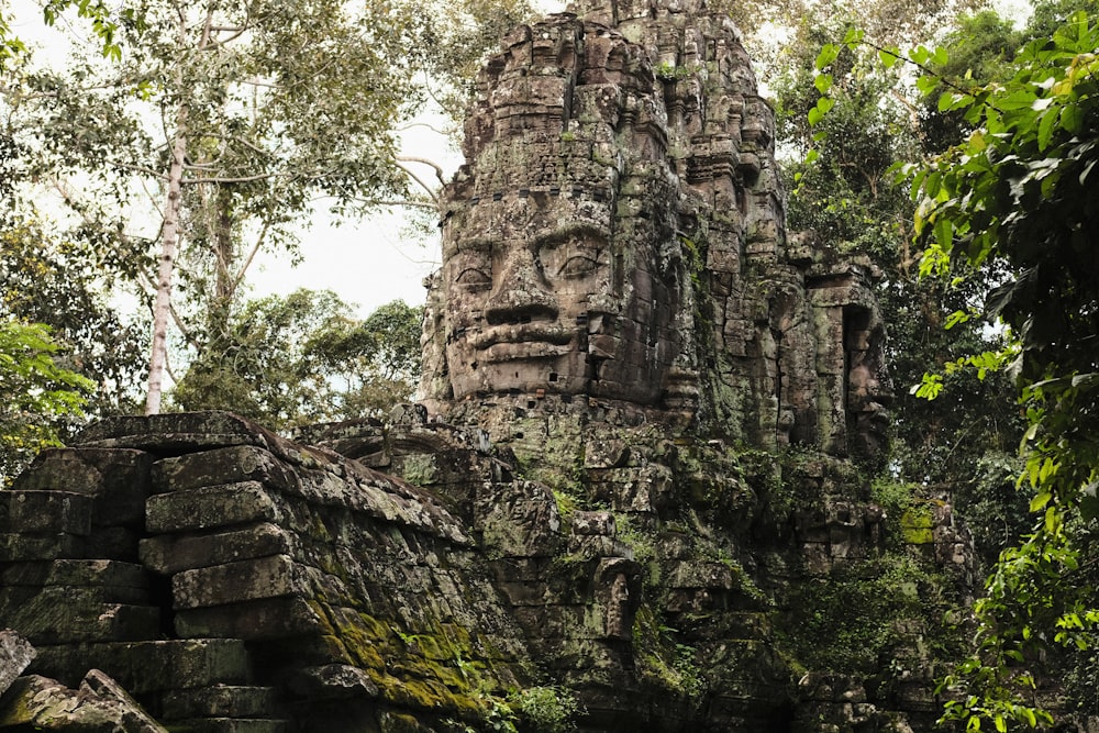 a stone face in the middle of a forest
