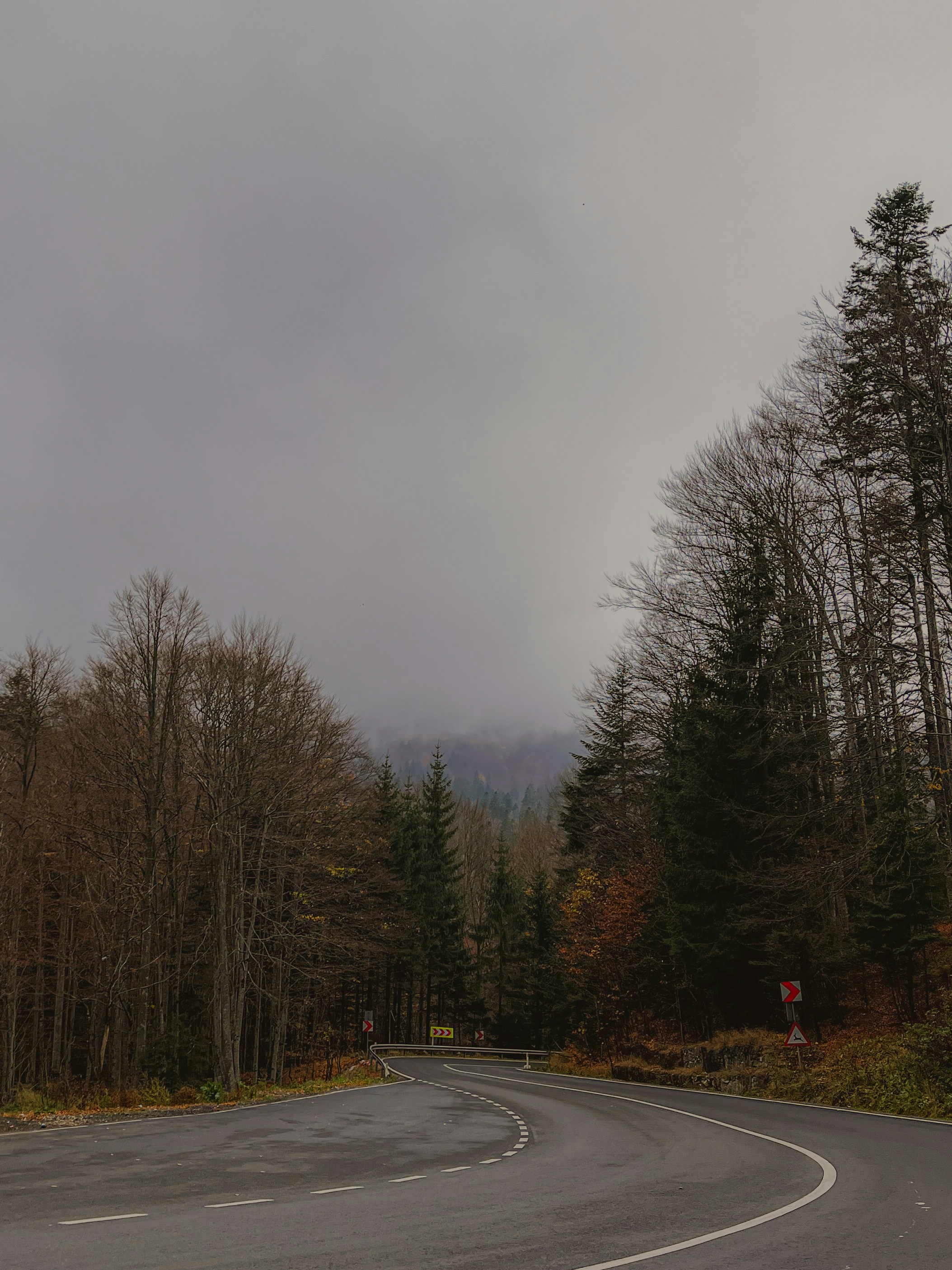 Photo by gamanalice3012