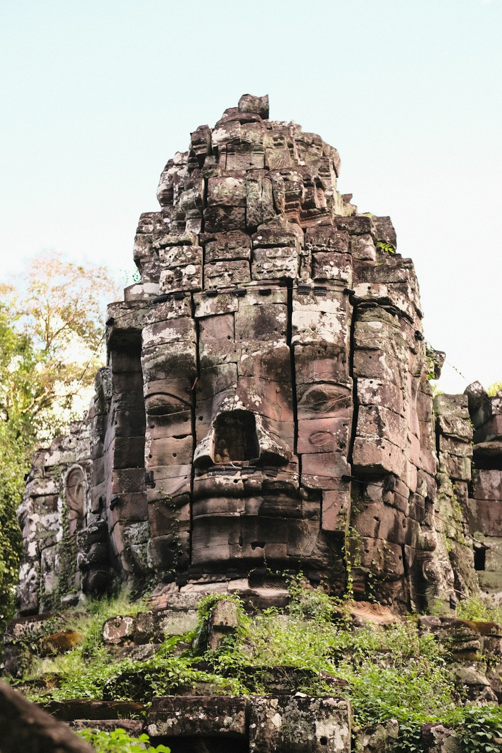 a large stone face in the middle of a forest
