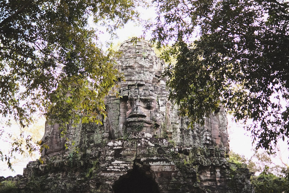 a large stone structure in the middle of a forest