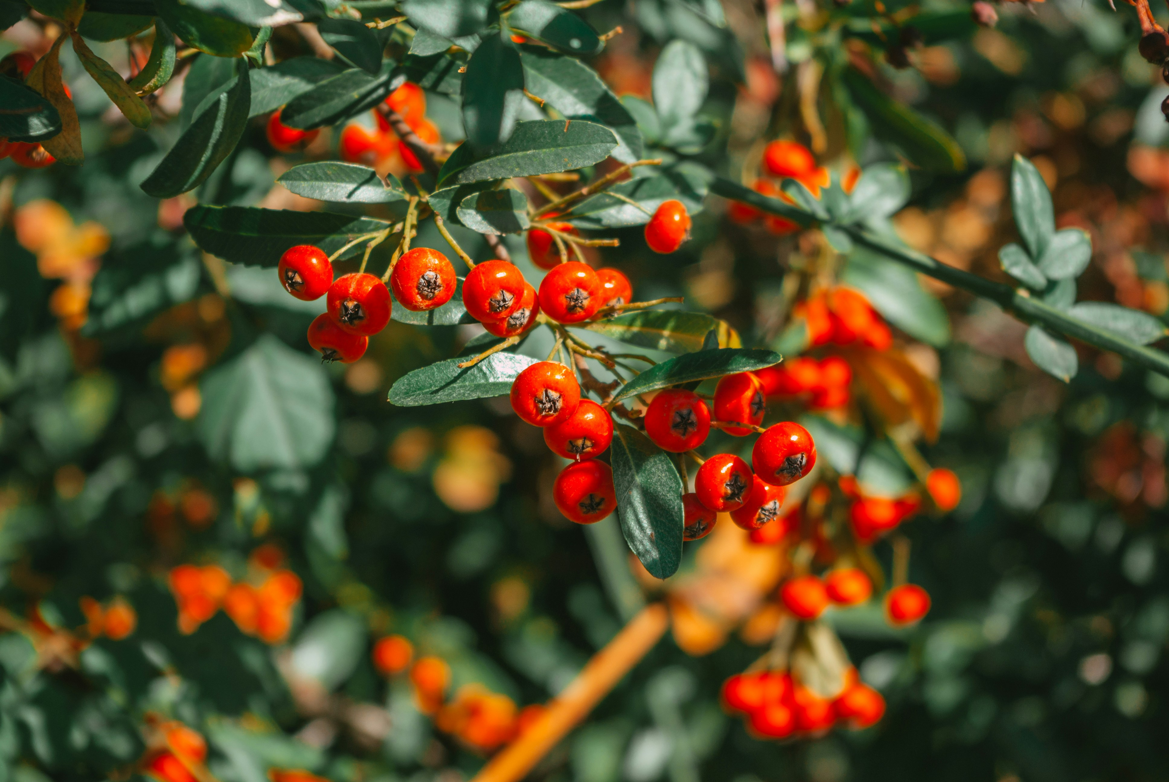 Photo by moonmoons_days