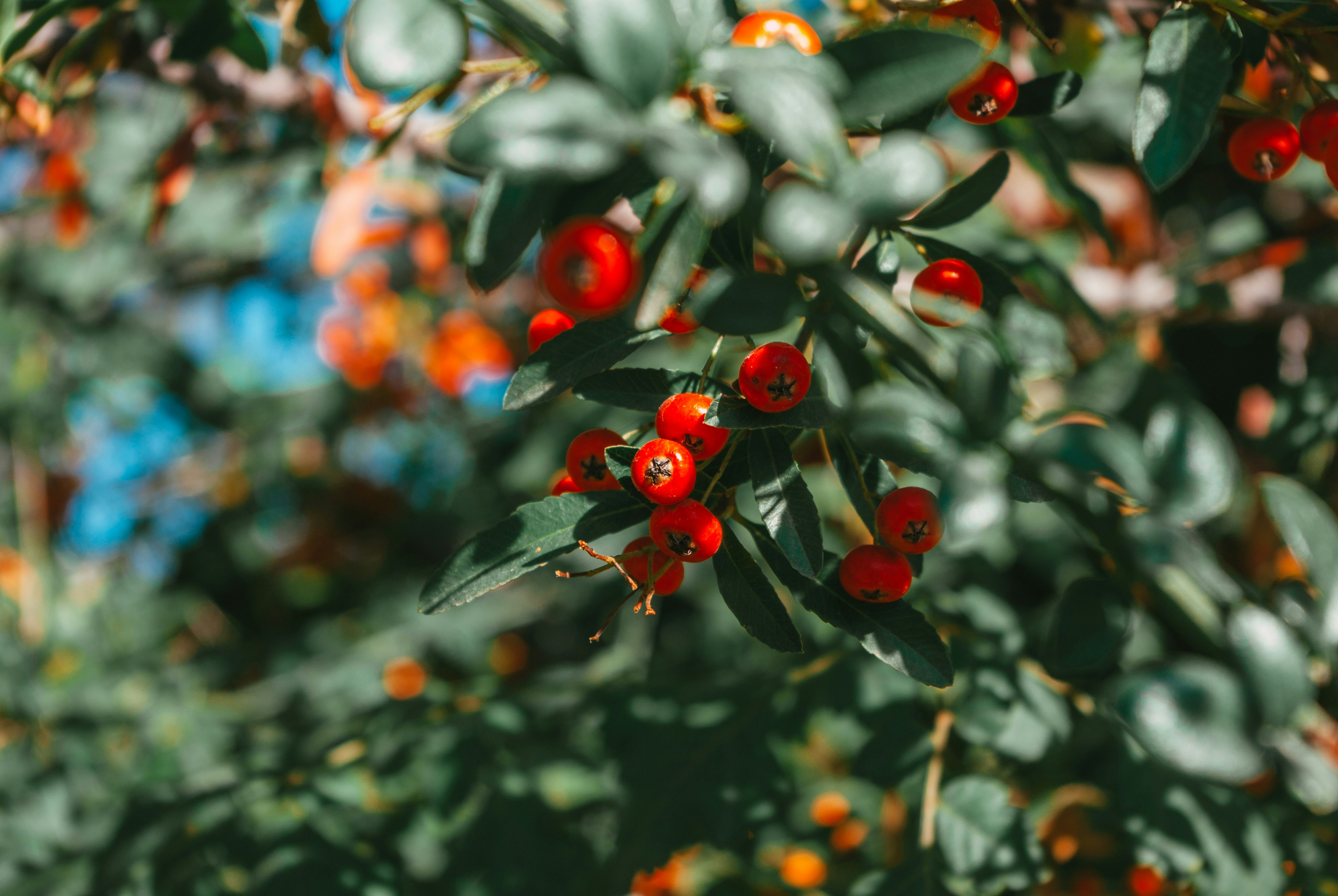 Photo by moonmoons_days