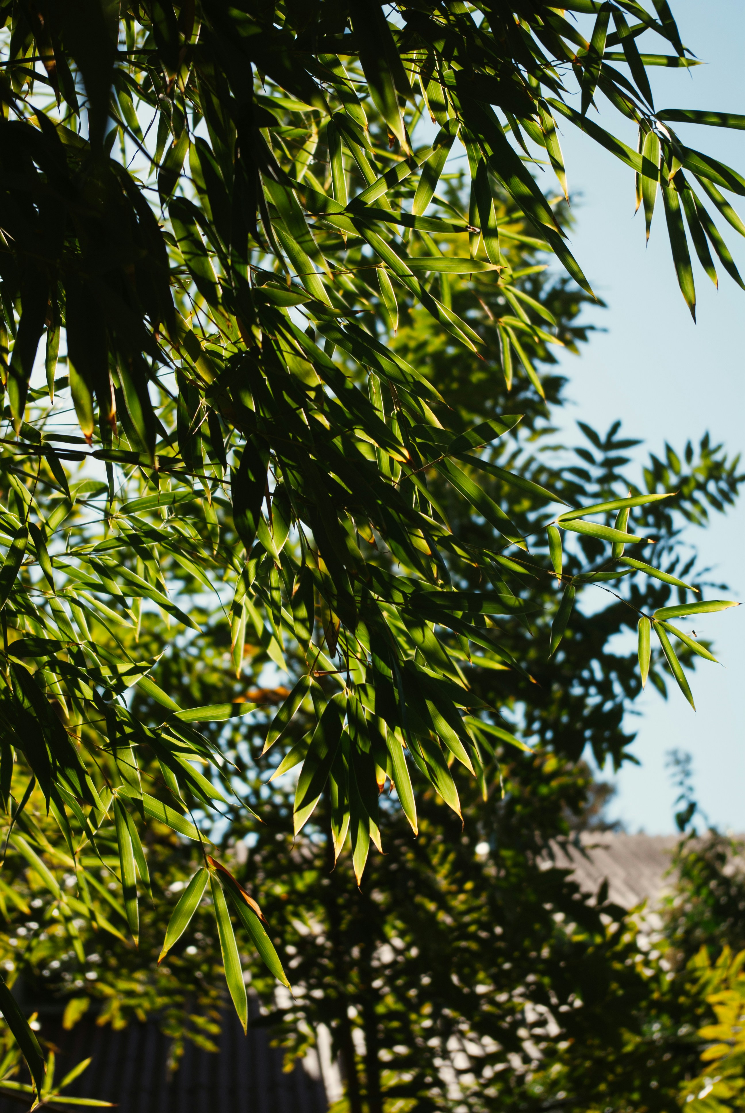 Photo by moonmoons_days