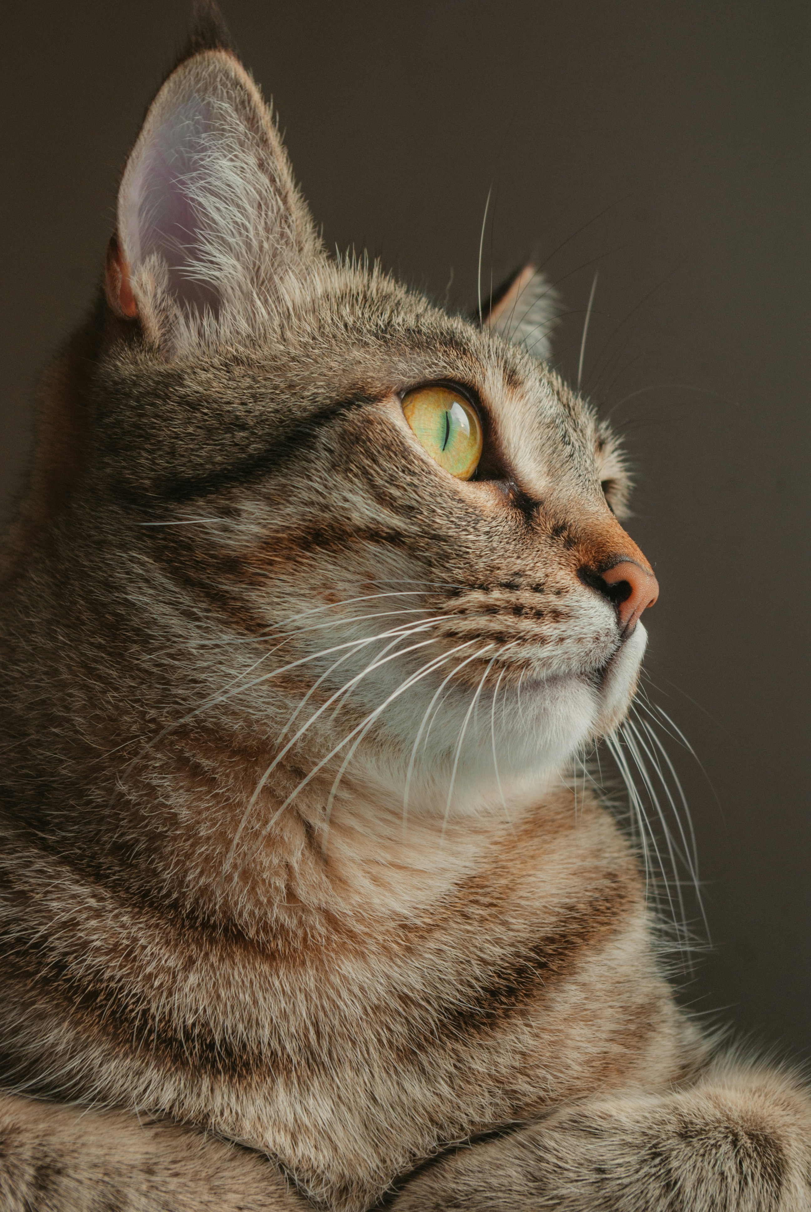 Photo by moonmoons_days