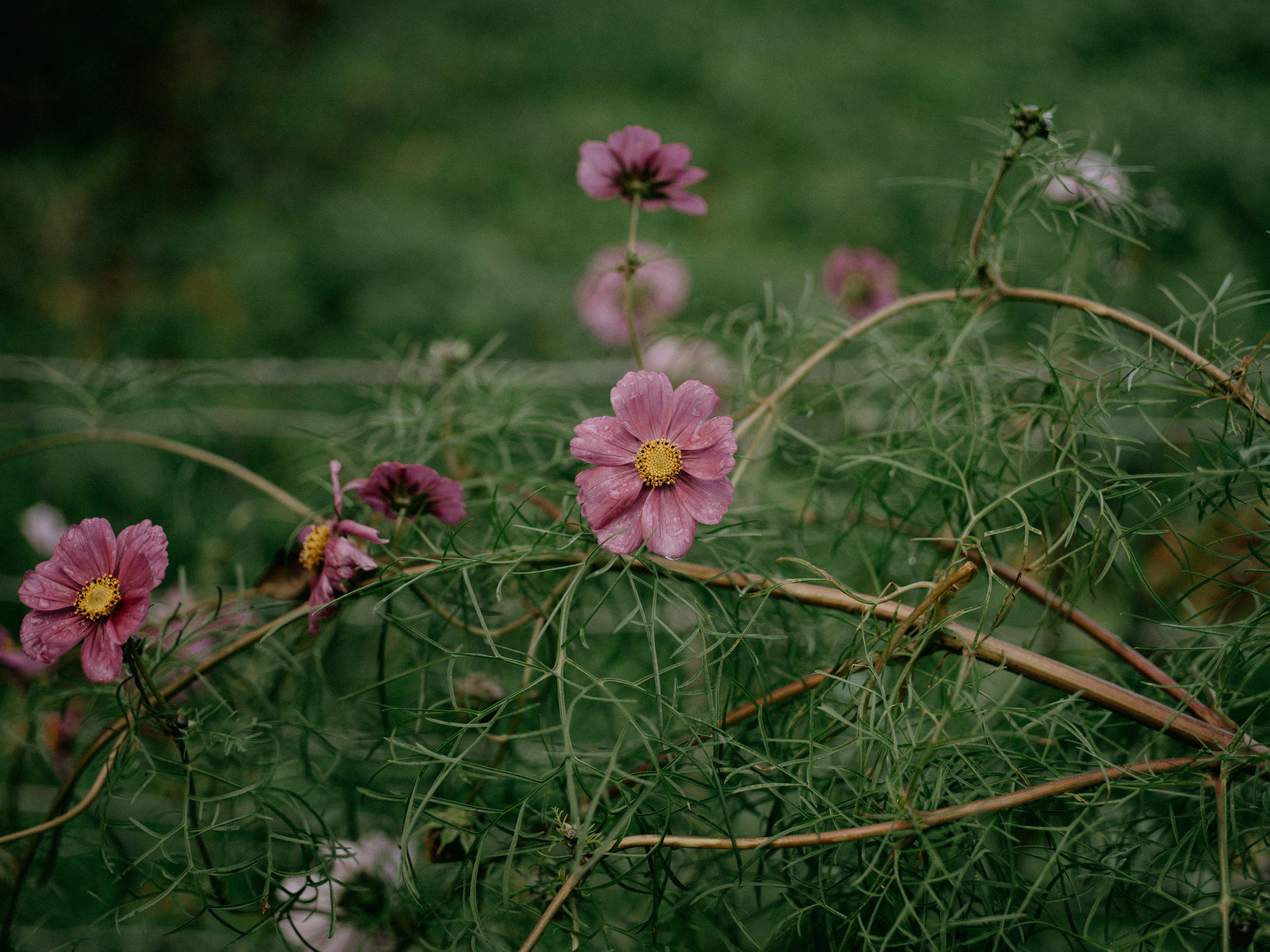 Photo by anniespratt